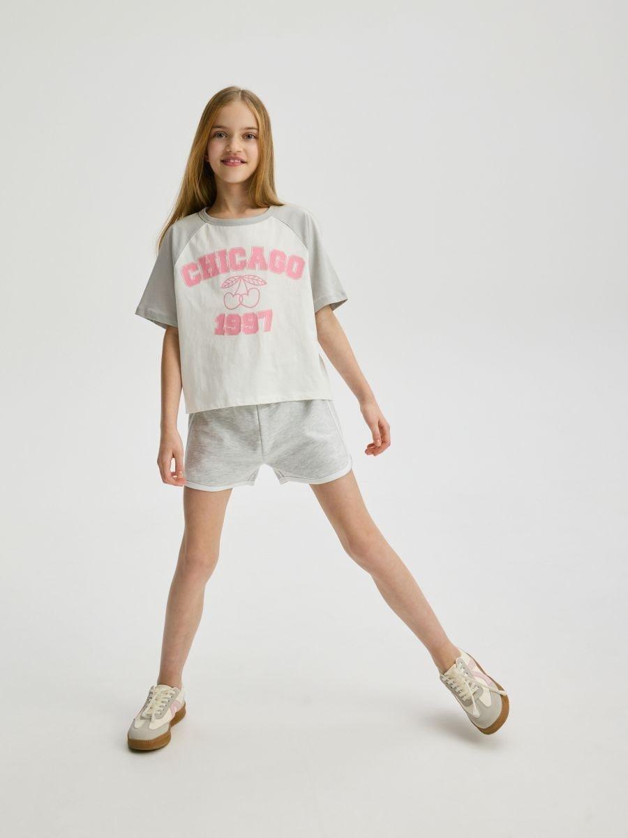 Grey Sweat Shorts With Side Stripes, , large image number 1