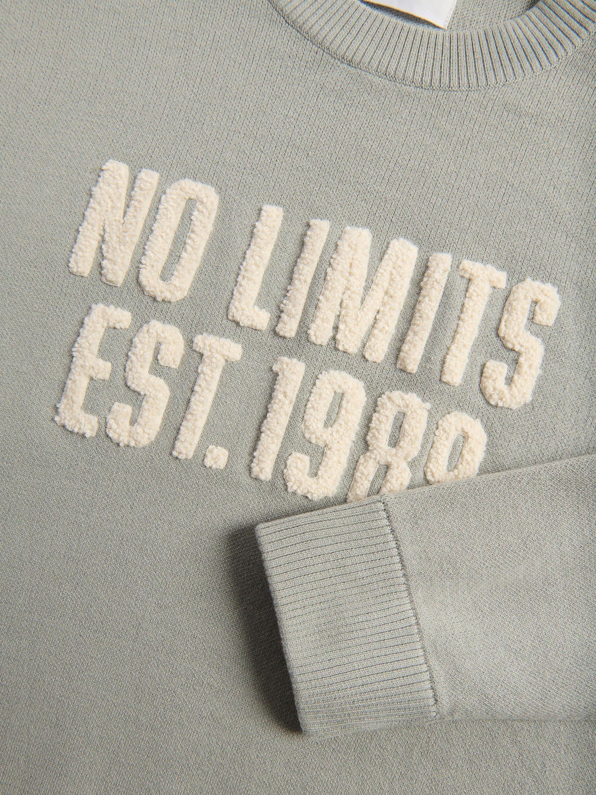 Green Jumper With Slogan, Green, large image number 5