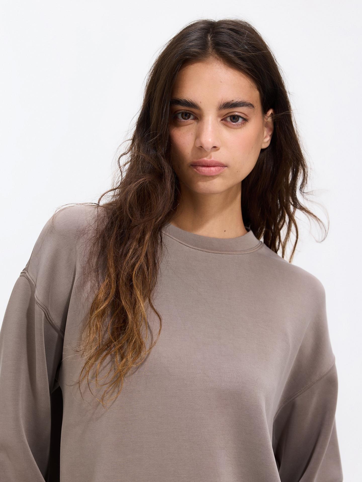 Brown Modal Blend Sweatshirt, Brown, medium