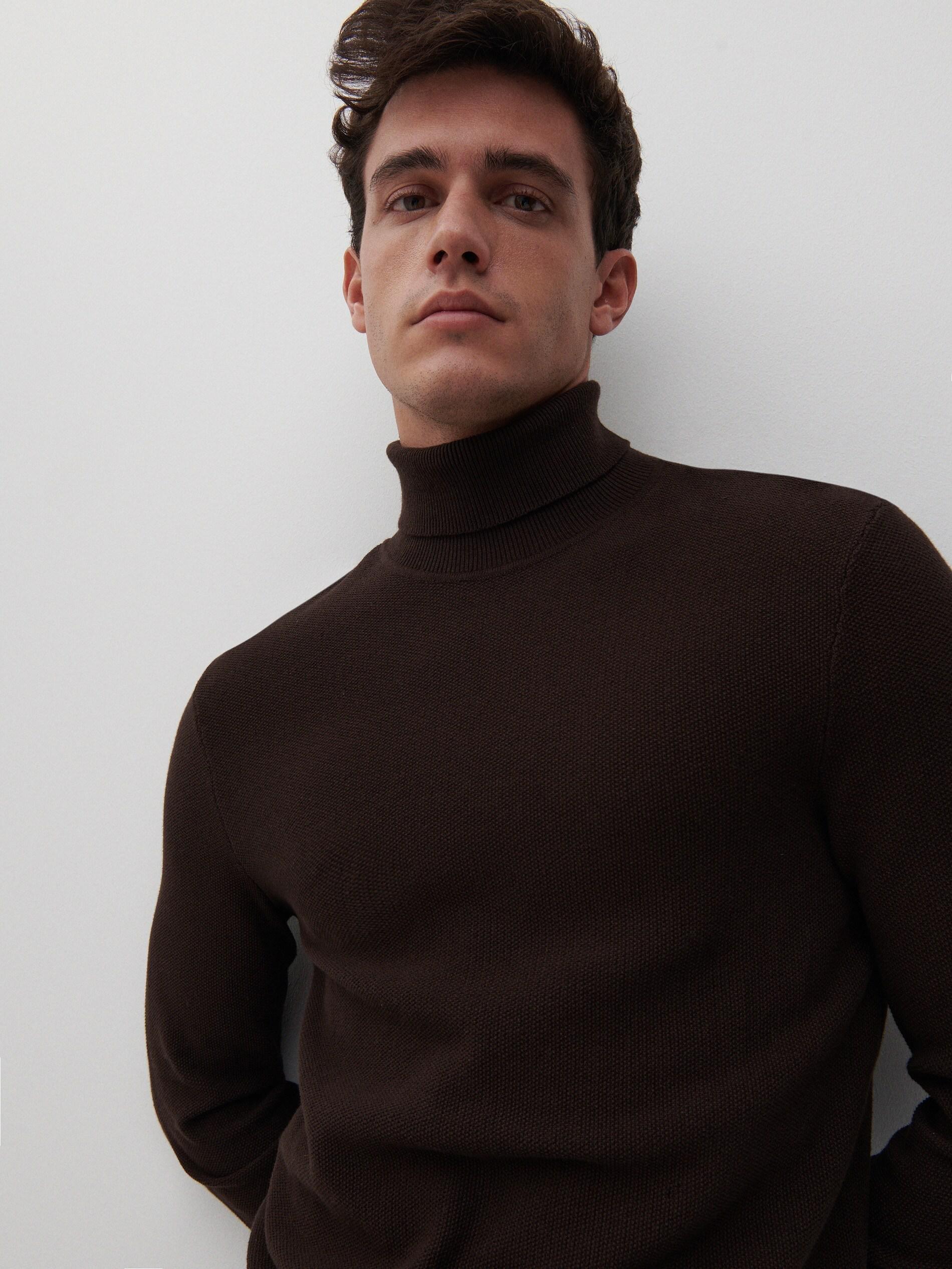 Brown Classic Golf Sweater, Men, , large image number 0