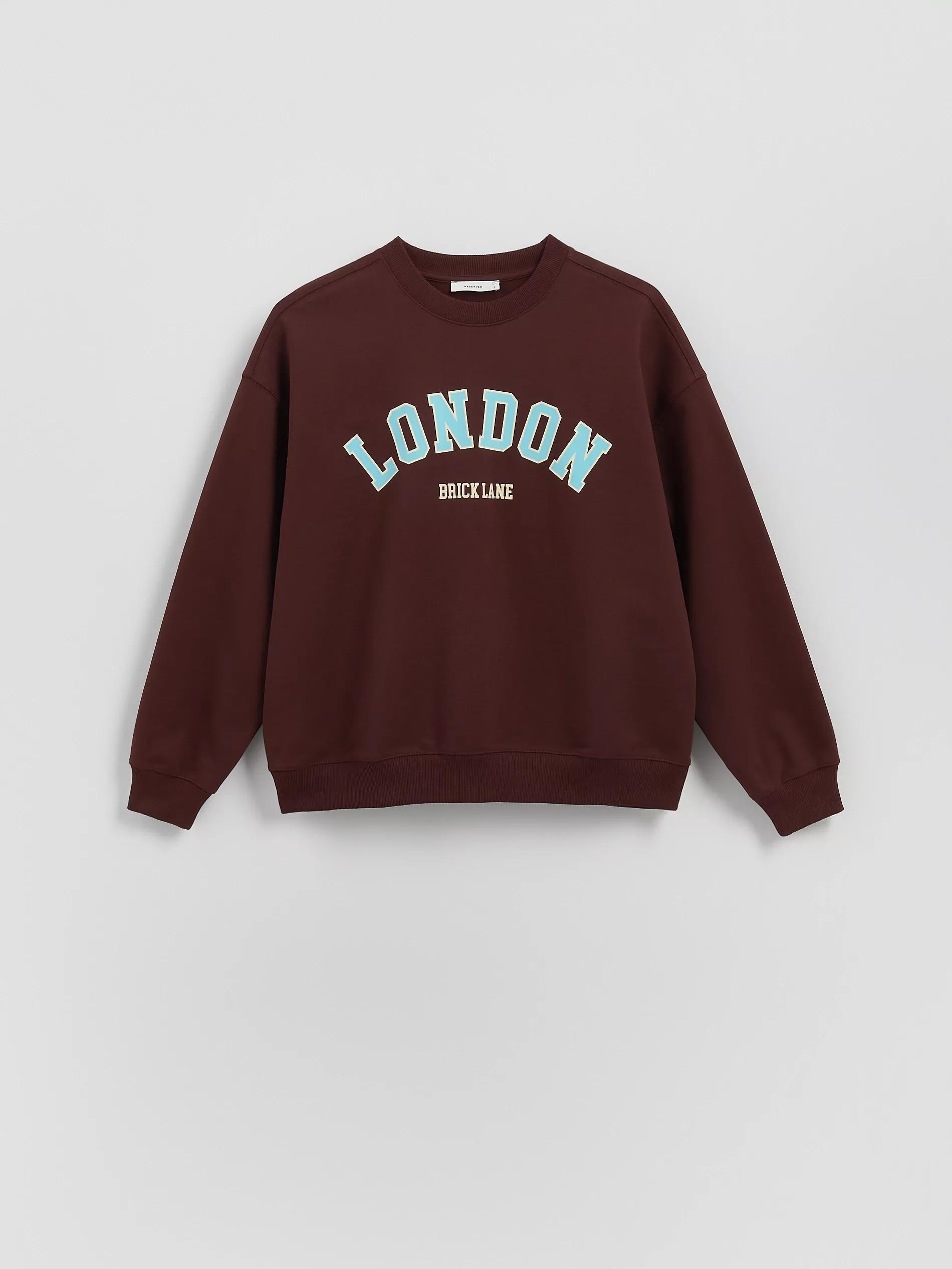 DARK BROWN Hoodie with embroidered slogan, Brown, large image number 4