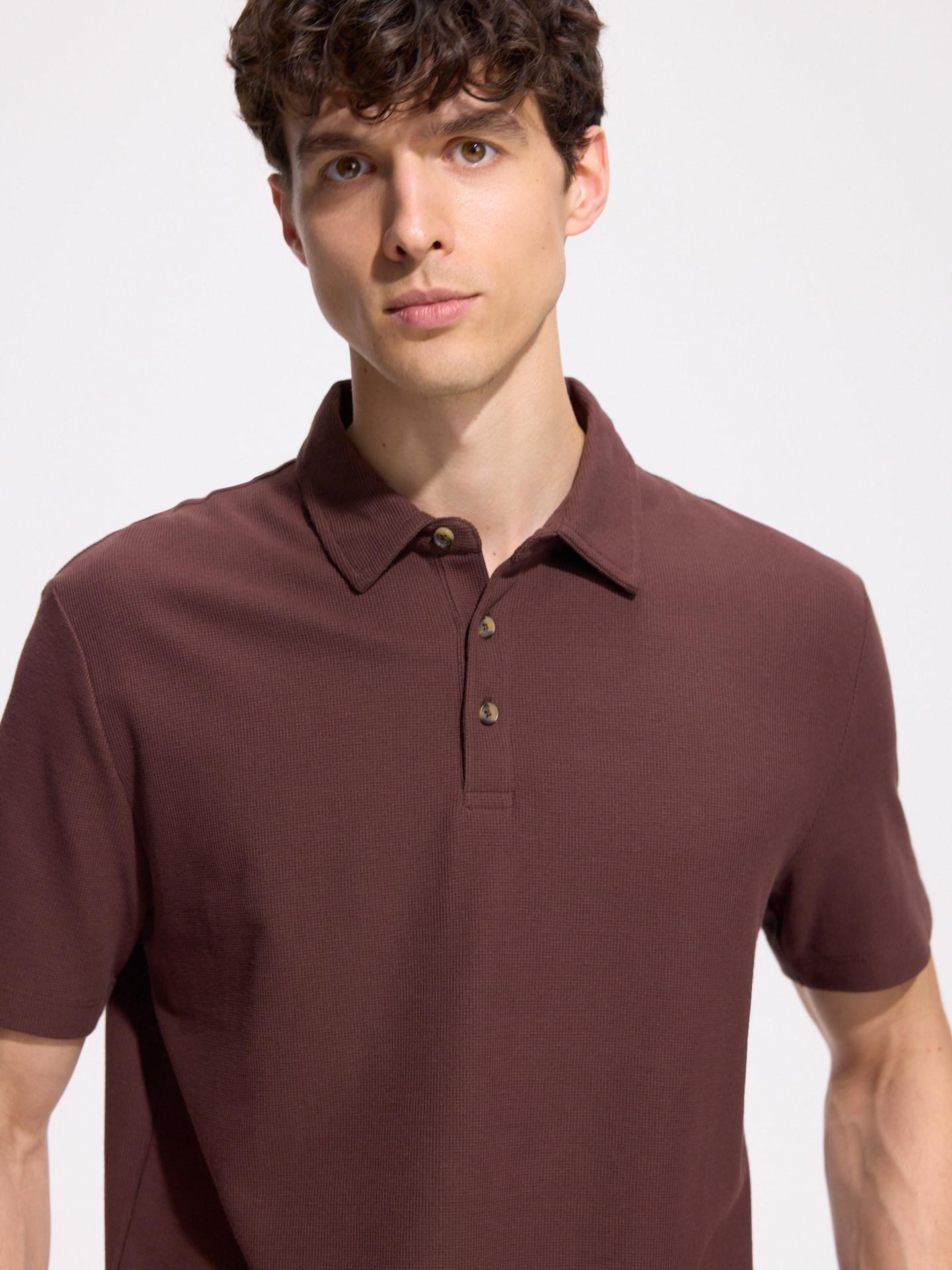 Brown Regular Fit Polo Shirt, Brown, medium