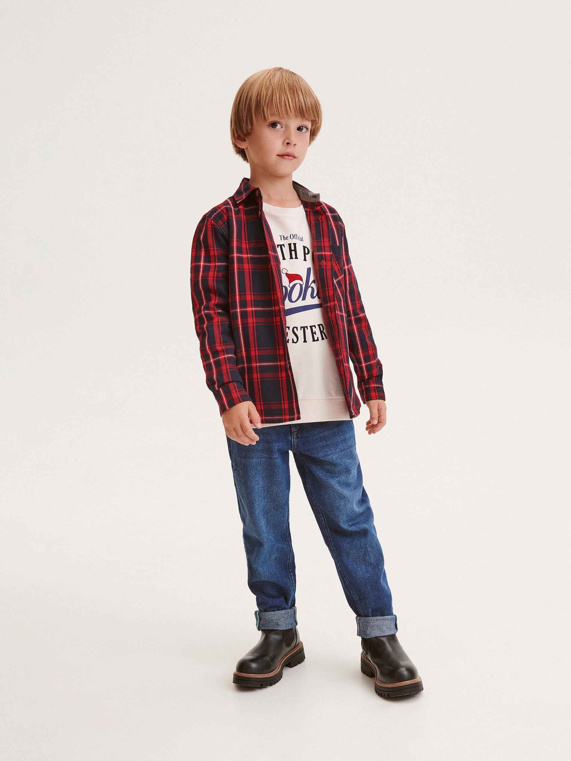 Blue Checked Cotton Shirt, Kids Boys, , large image number 2