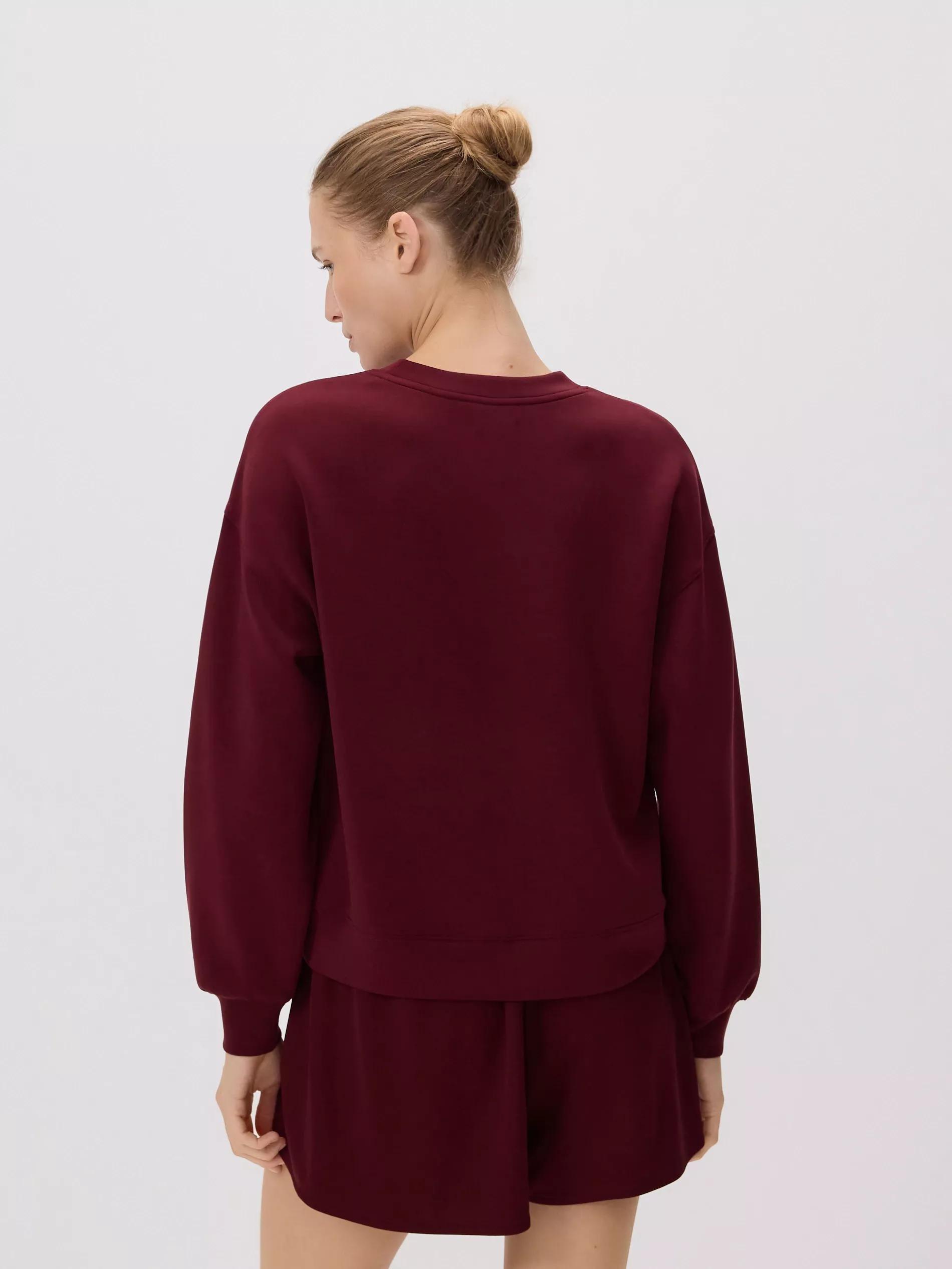 Maroon Modal Blend Sweatshirt, , large image number 4