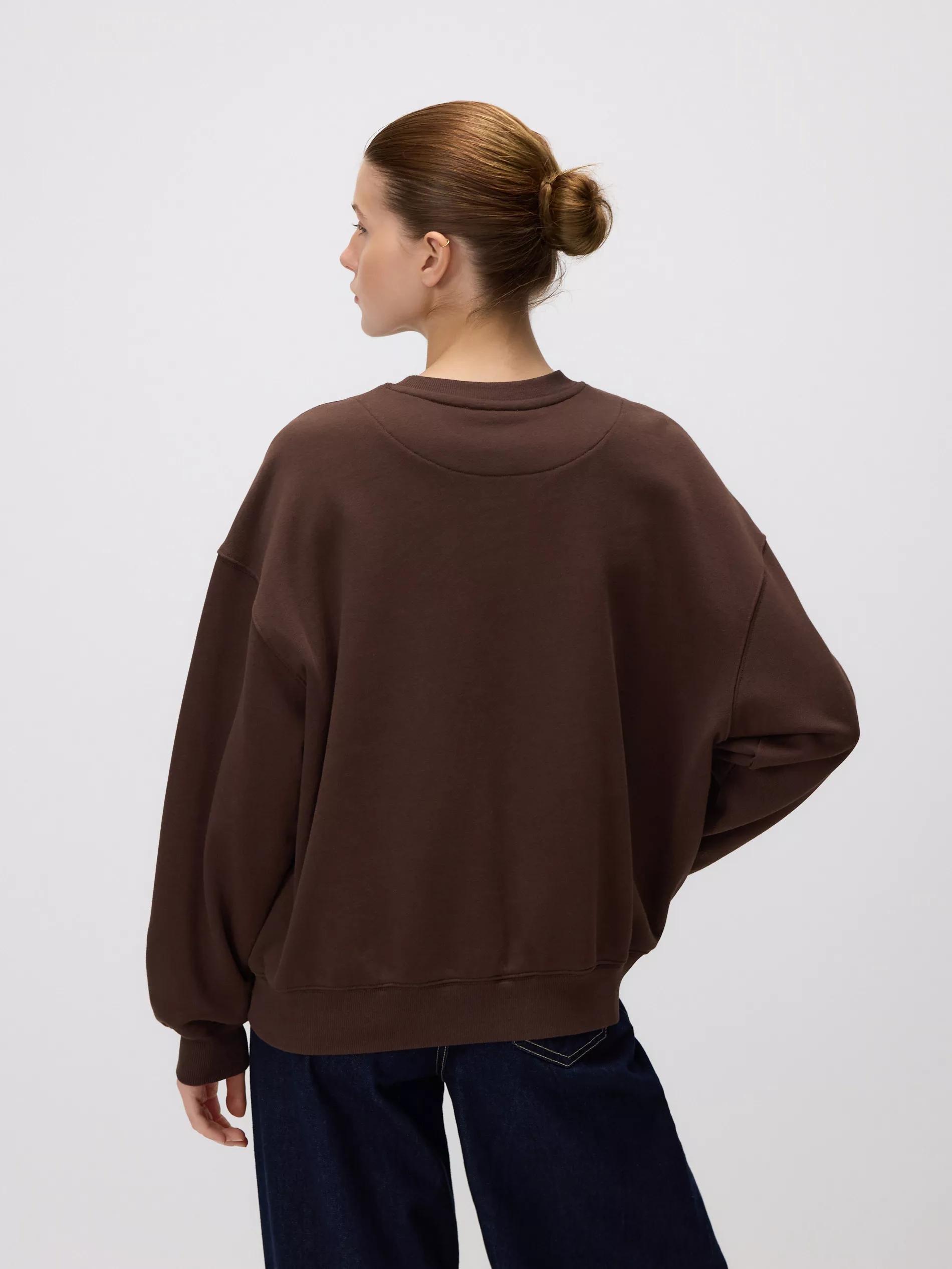 Brown Hoodie With Embroidered Slogan, Brown, large image number 2