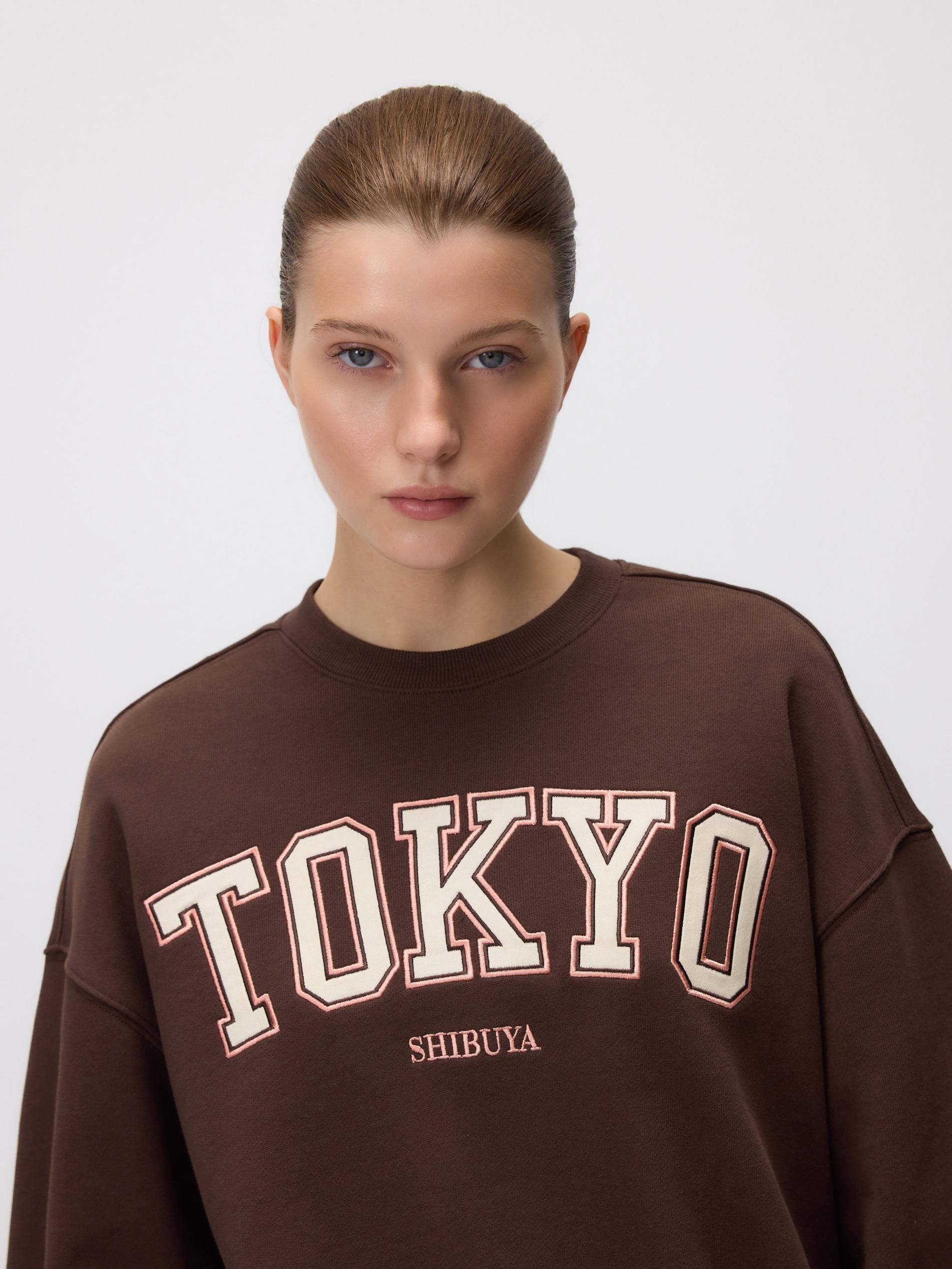 Brown Hoodie With Embroidered Slogan, Brown, large image number 3
