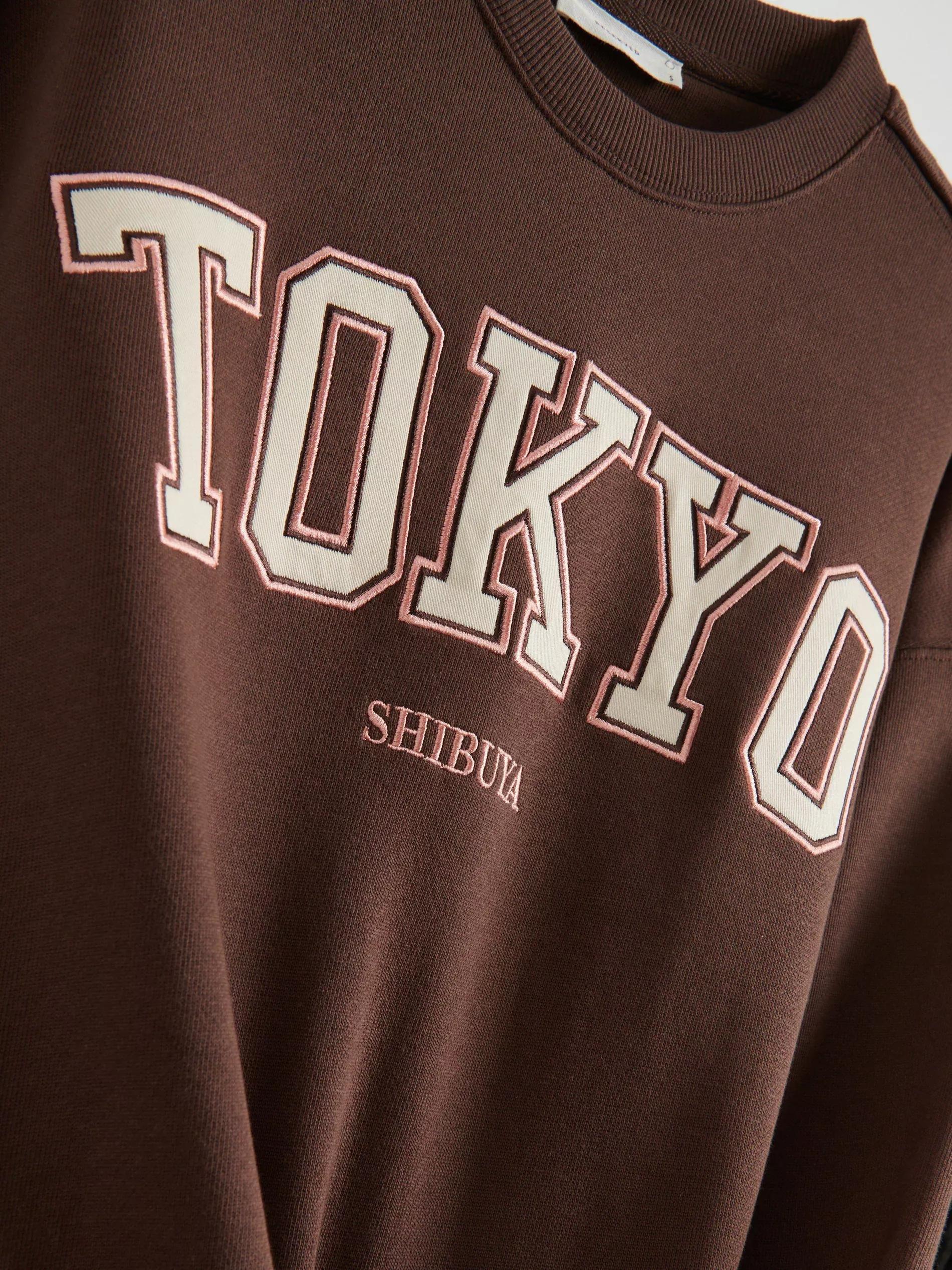 Brown Hoodie With Embroidered Slogan, Brown, large image number 5