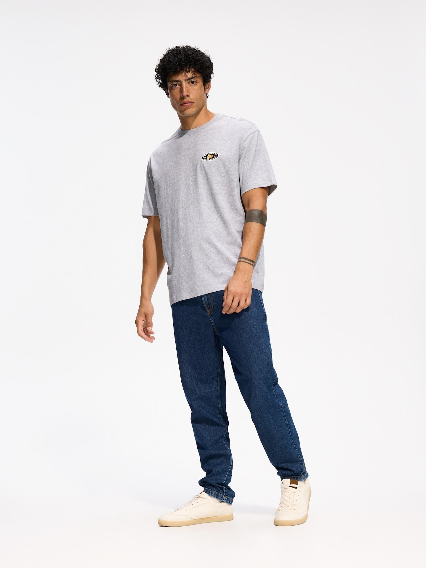 Grey Boxy Cut T-Shirt With Back Print, Light grey, medium