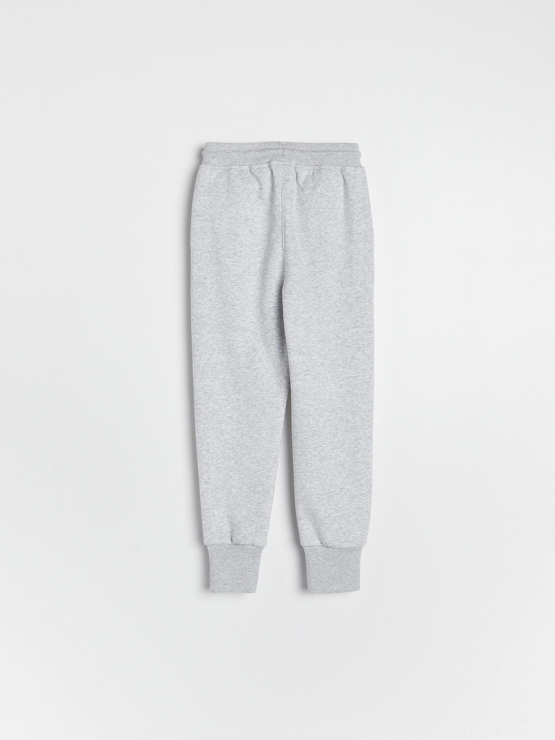 Light Grey Sweatpants, Kids Girl, , large image number 1