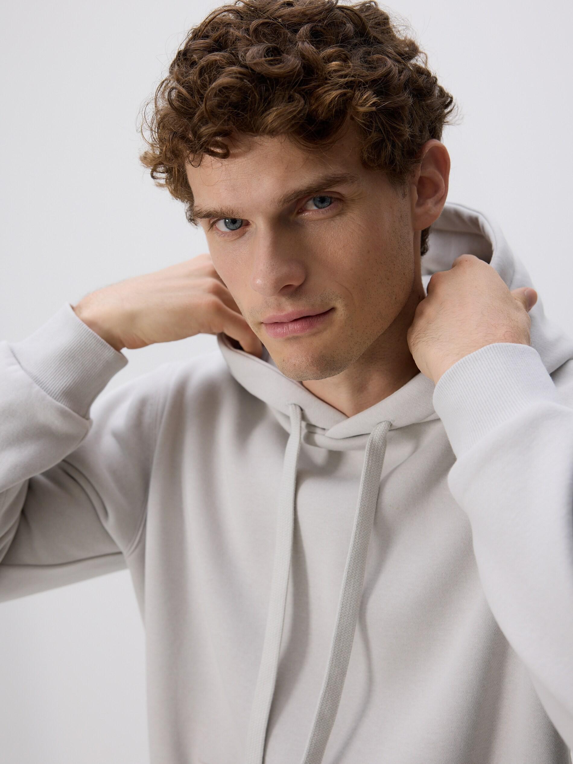 Grey Regular Fit Hoodie, Light grey, medium