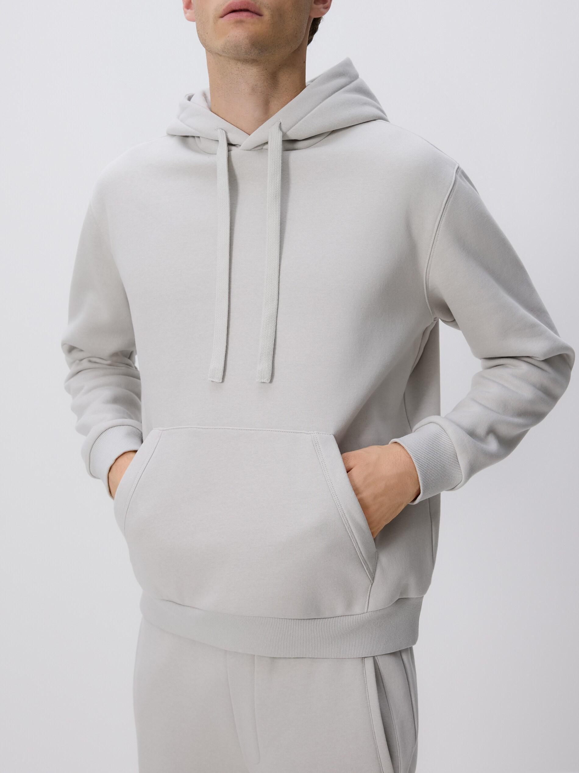 Grey Regular Fit Hoodie, Light grey, medium