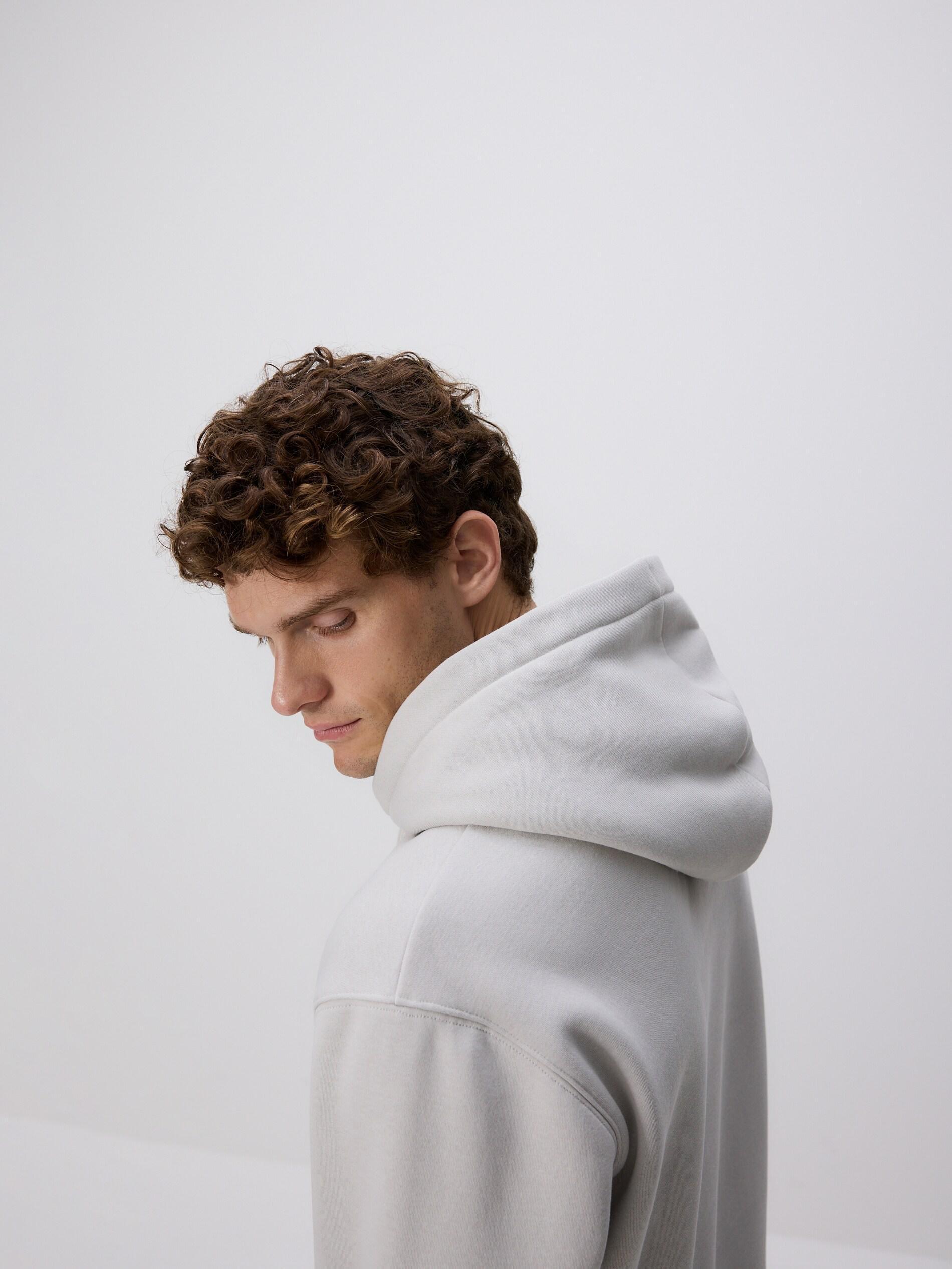 Grey Regular Fit Hoodie, Light grey, medium