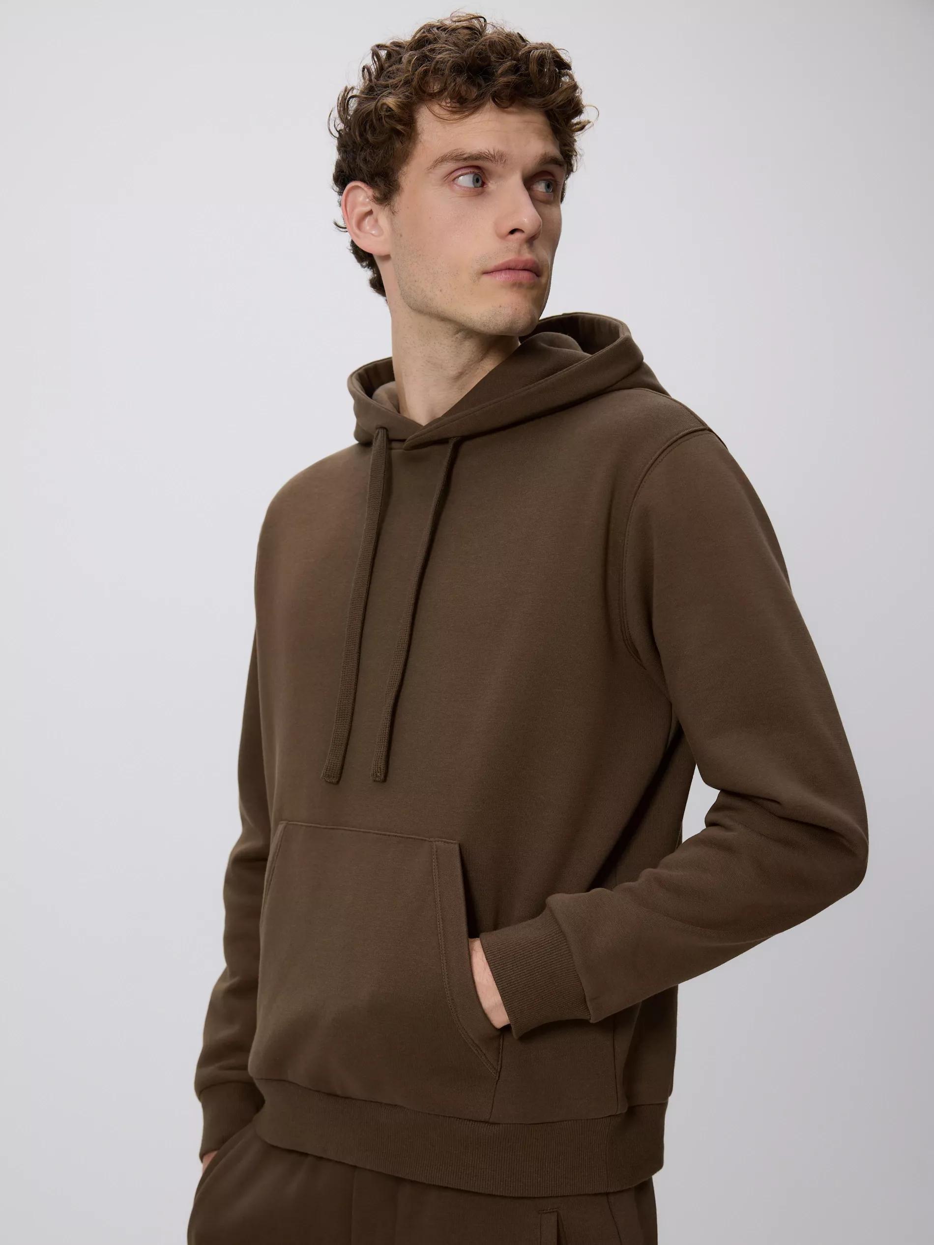 Brown Regular Fit Hoodie, Brown, medium
