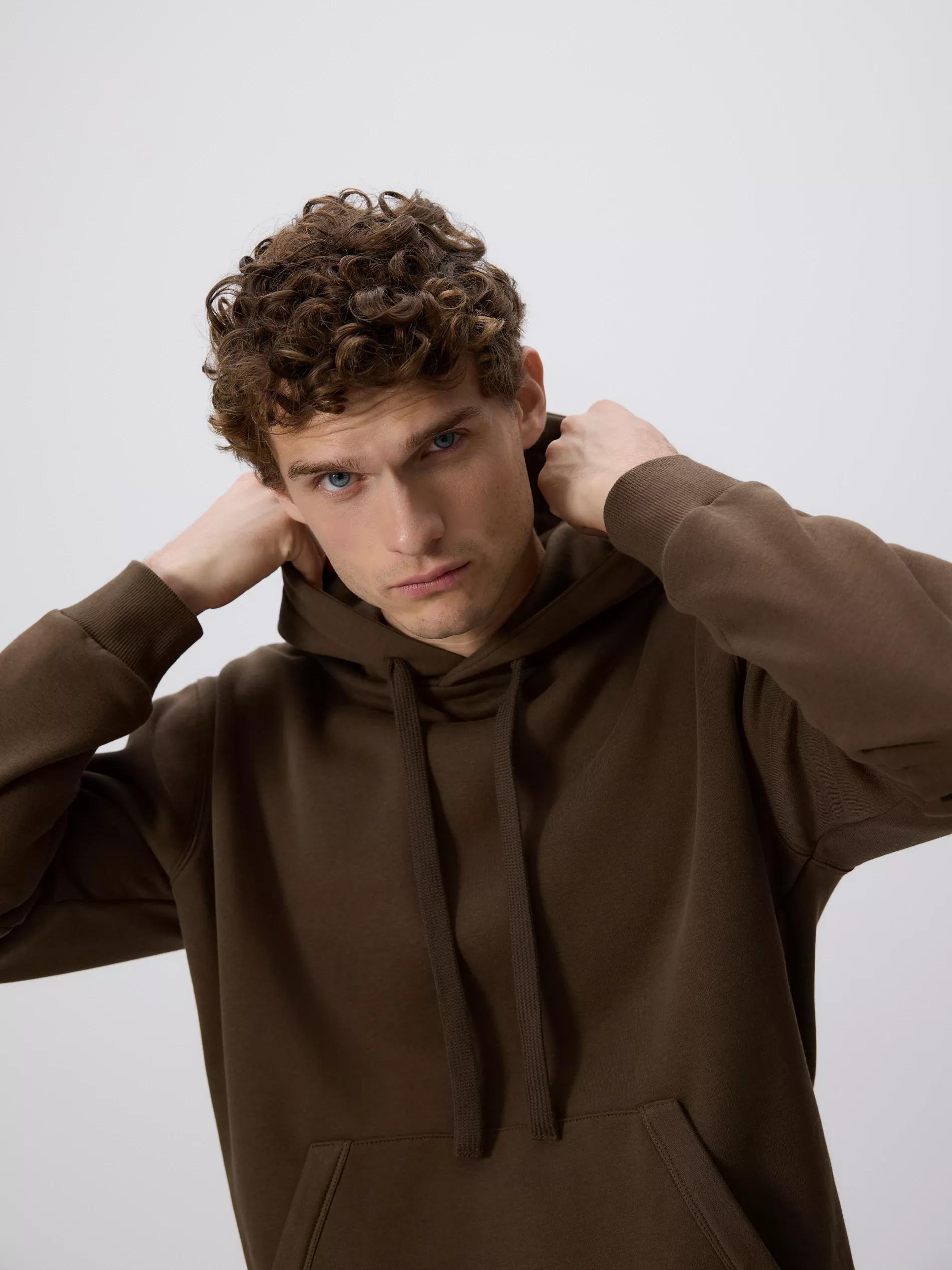 Brown Regular Fit Hoodie, Brown, medium