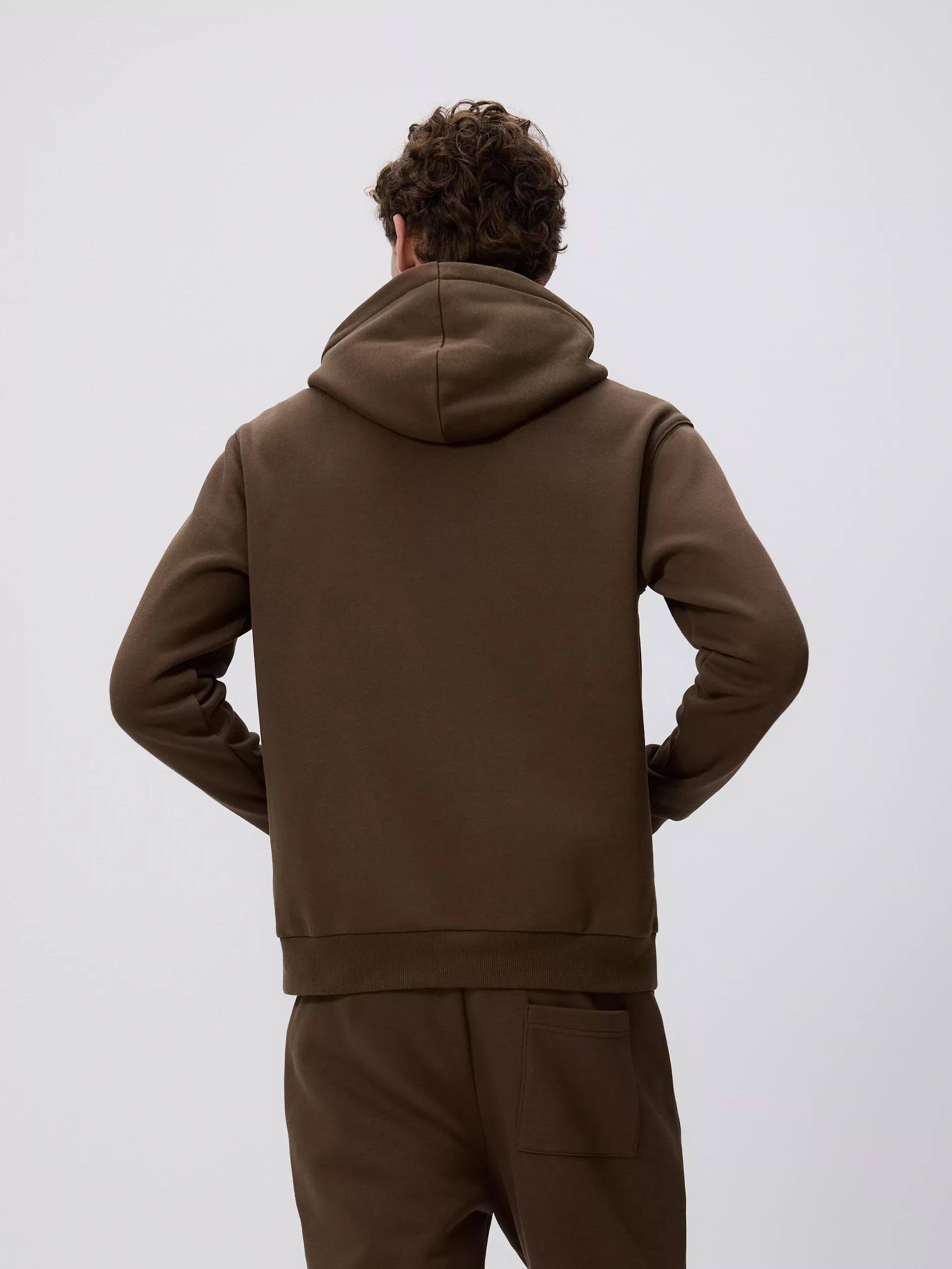 Brown Regular Fit Hoodie, Brown, large image number 3
