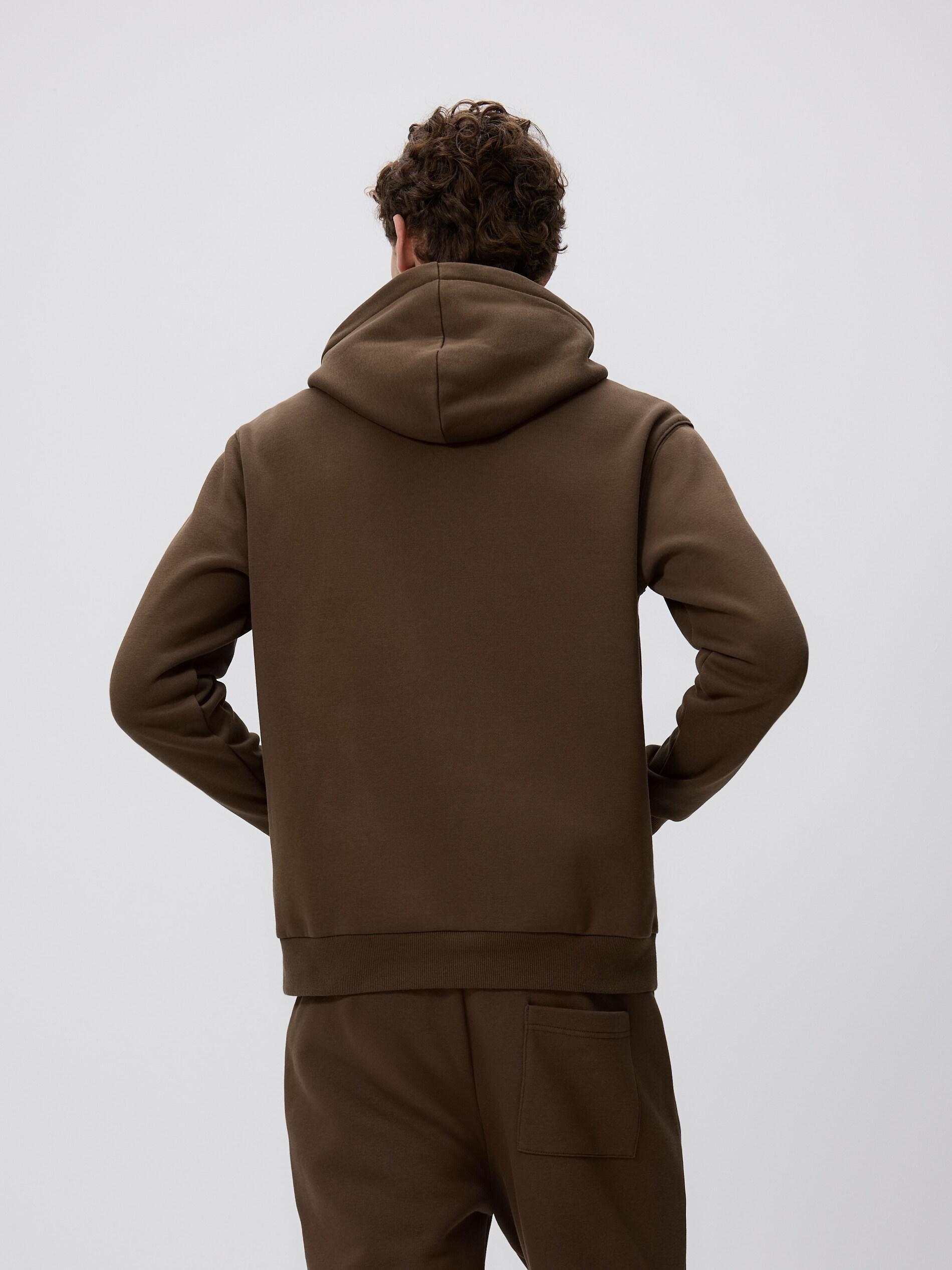 Brown Regular Fit Hoodie, Brown, large image number 3