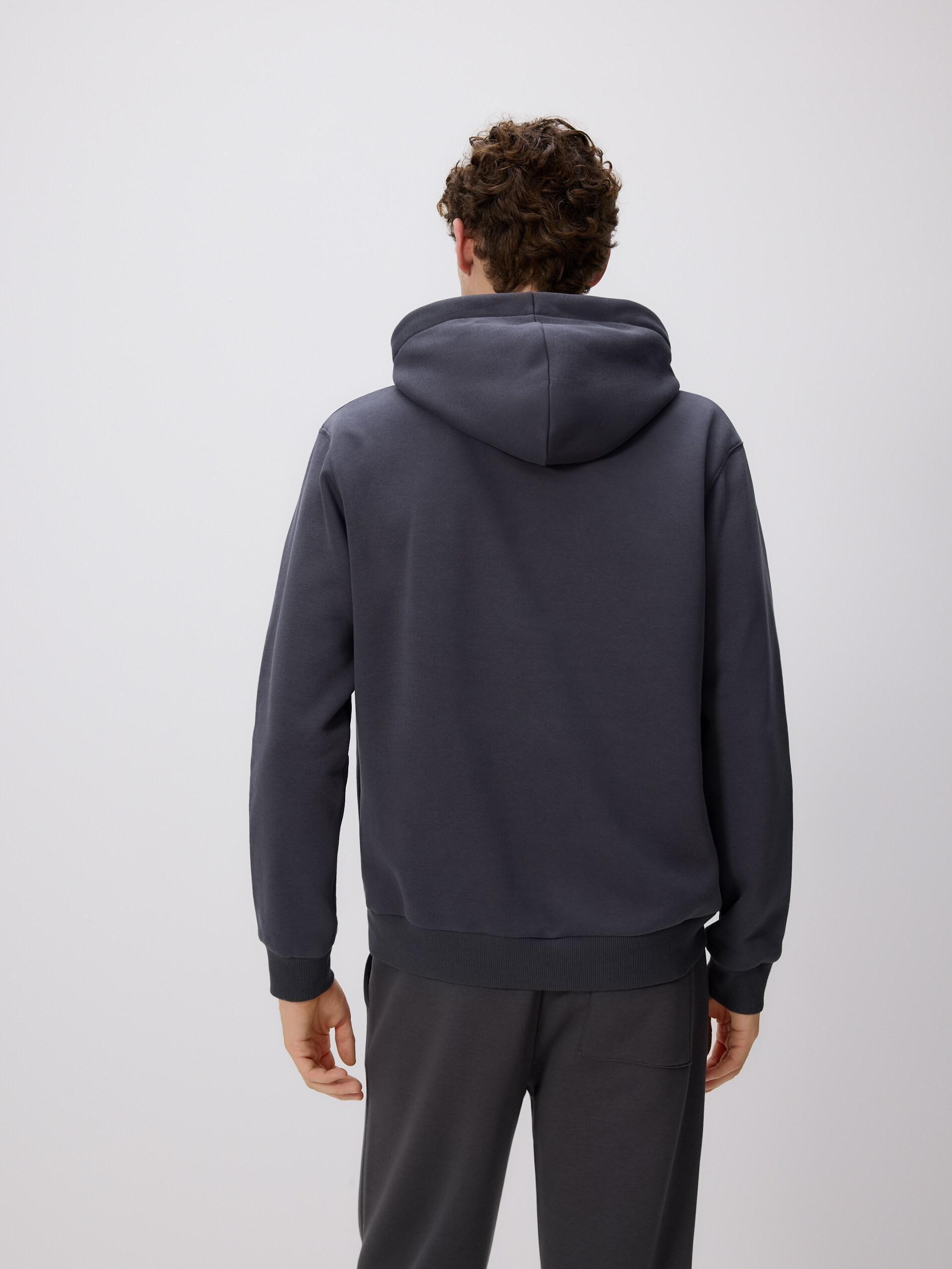 Grey Regular Fit Hoodie, Grey, large image number 3