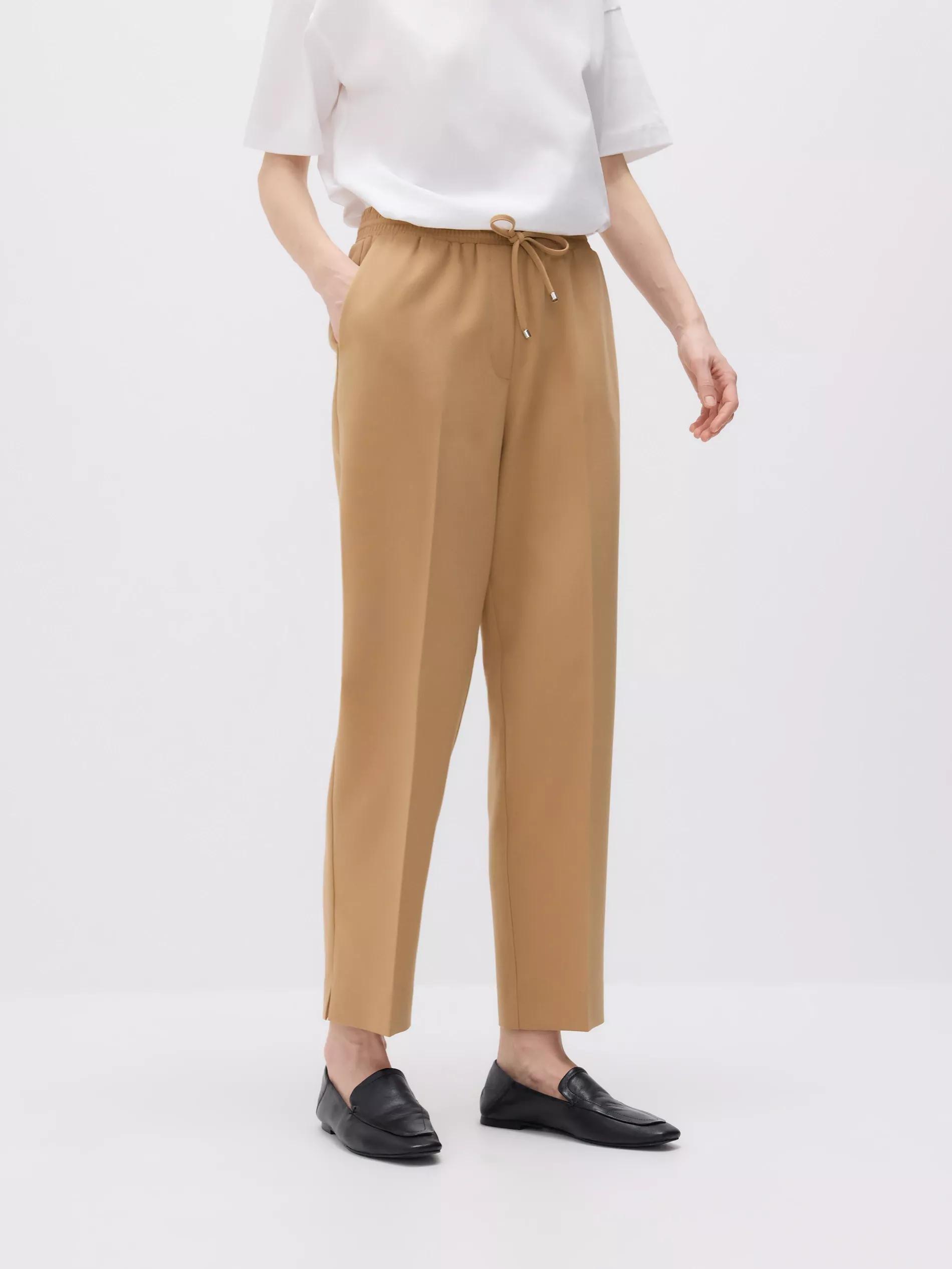 Brown Elastic Waist Trousers, , large image number 0