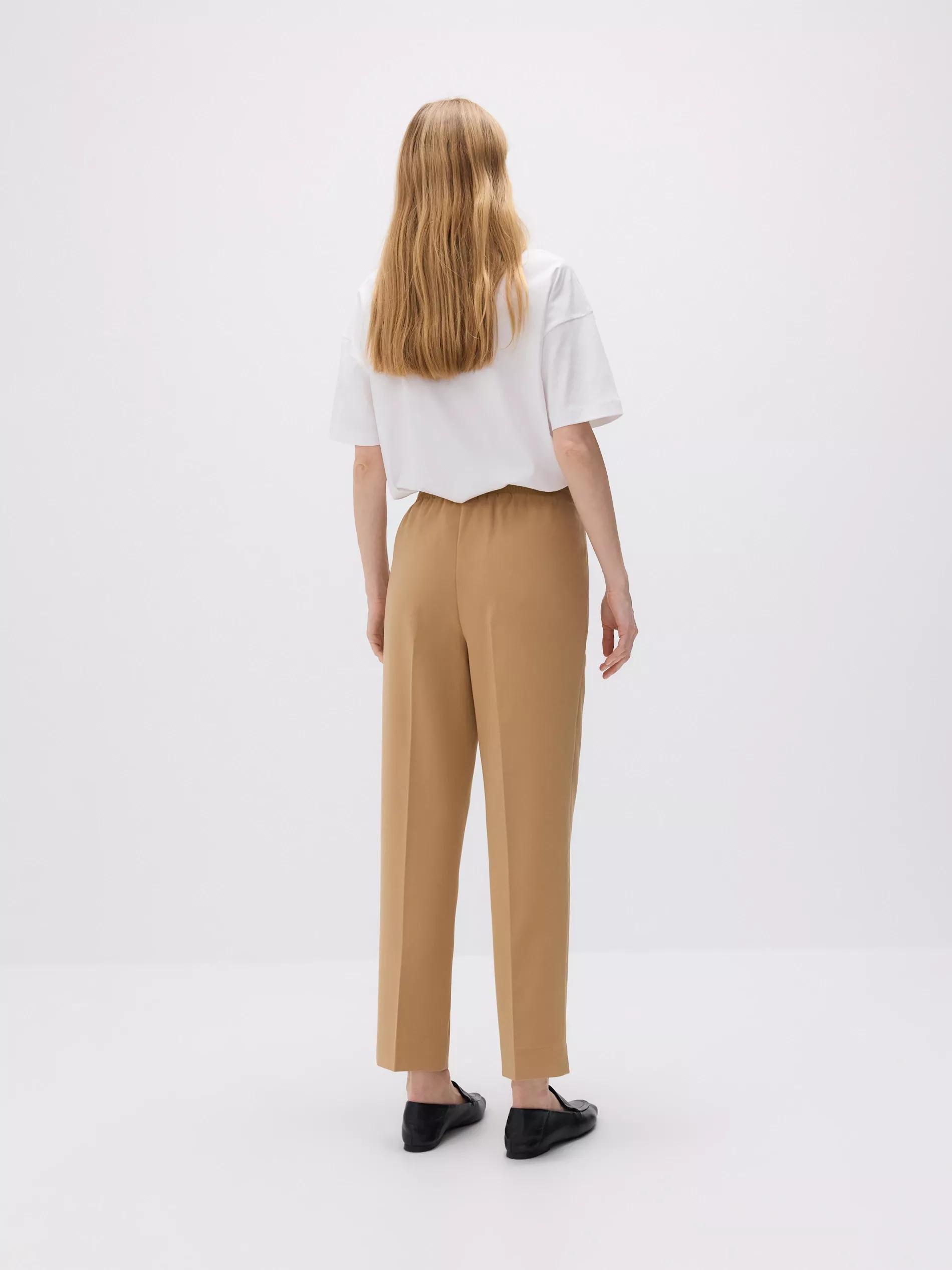 Brown Elastic Waist Trousers, , large image number 2
