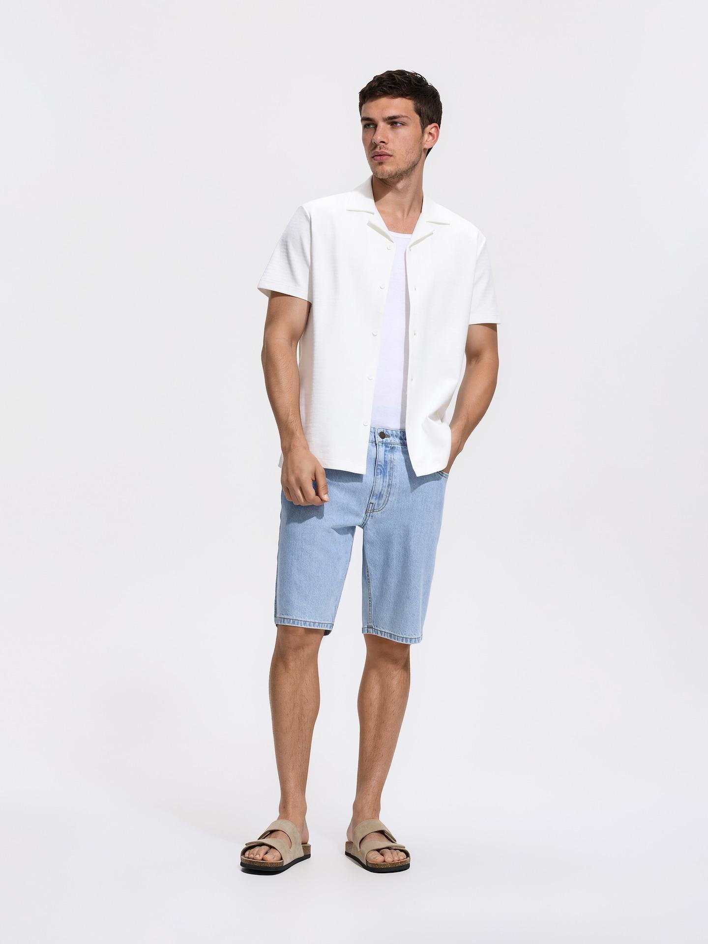 Cream Regular Fit Cotton Shirt, Ivory, medium