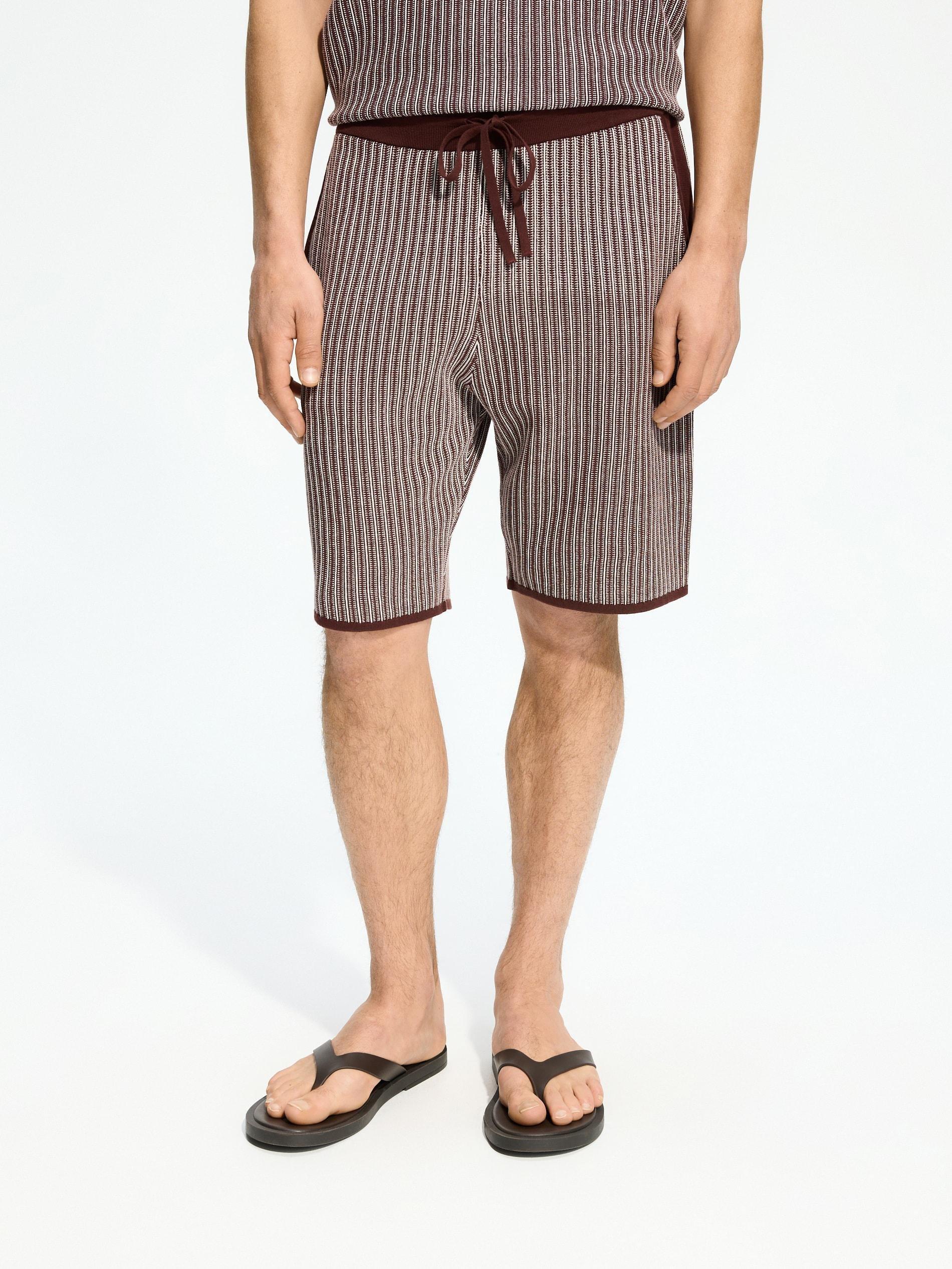Brown Structured Regular Fit Shorts, Brown, medium