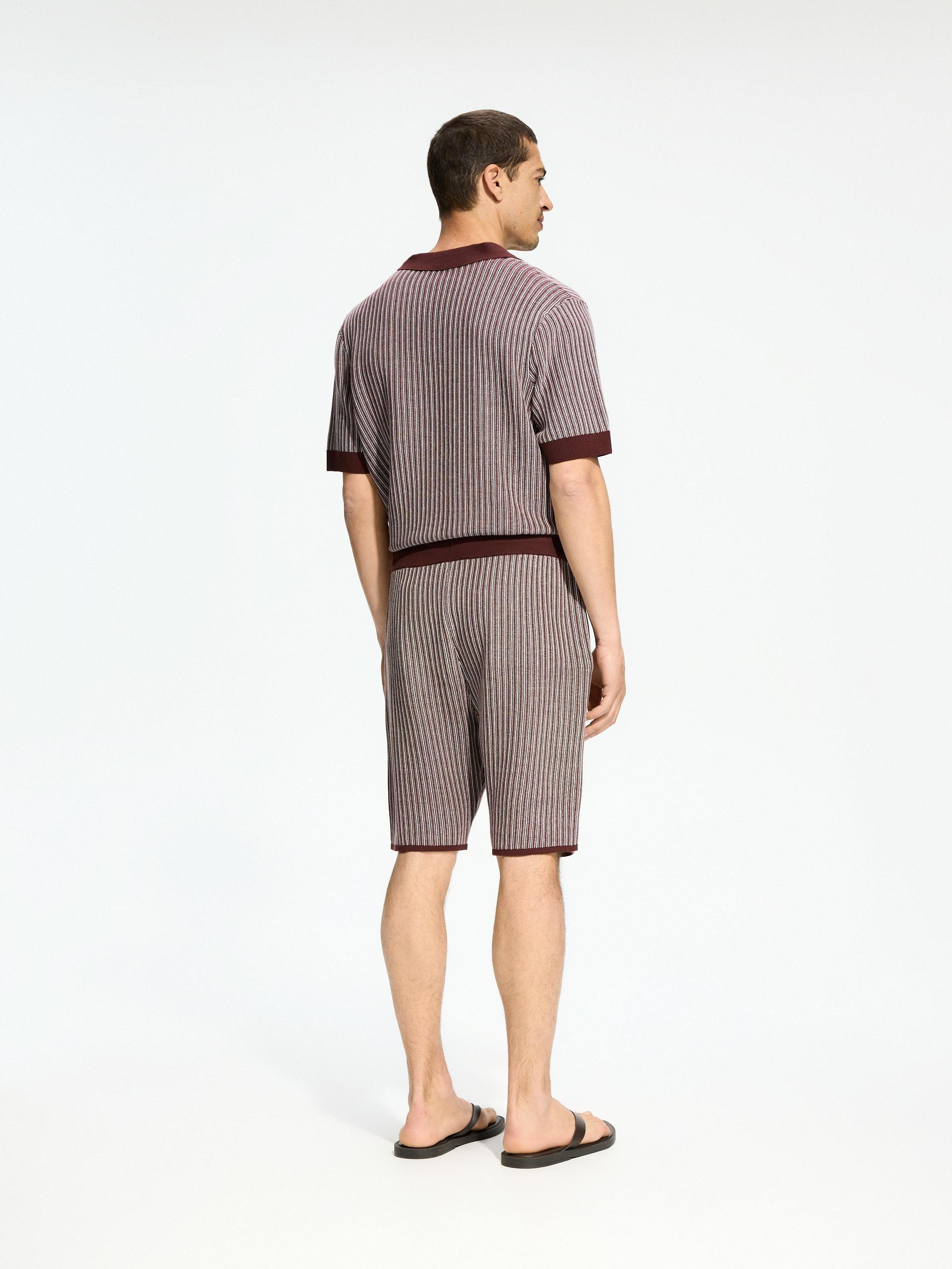 Brown Structured Regular Fit Shorts, Brown, medium