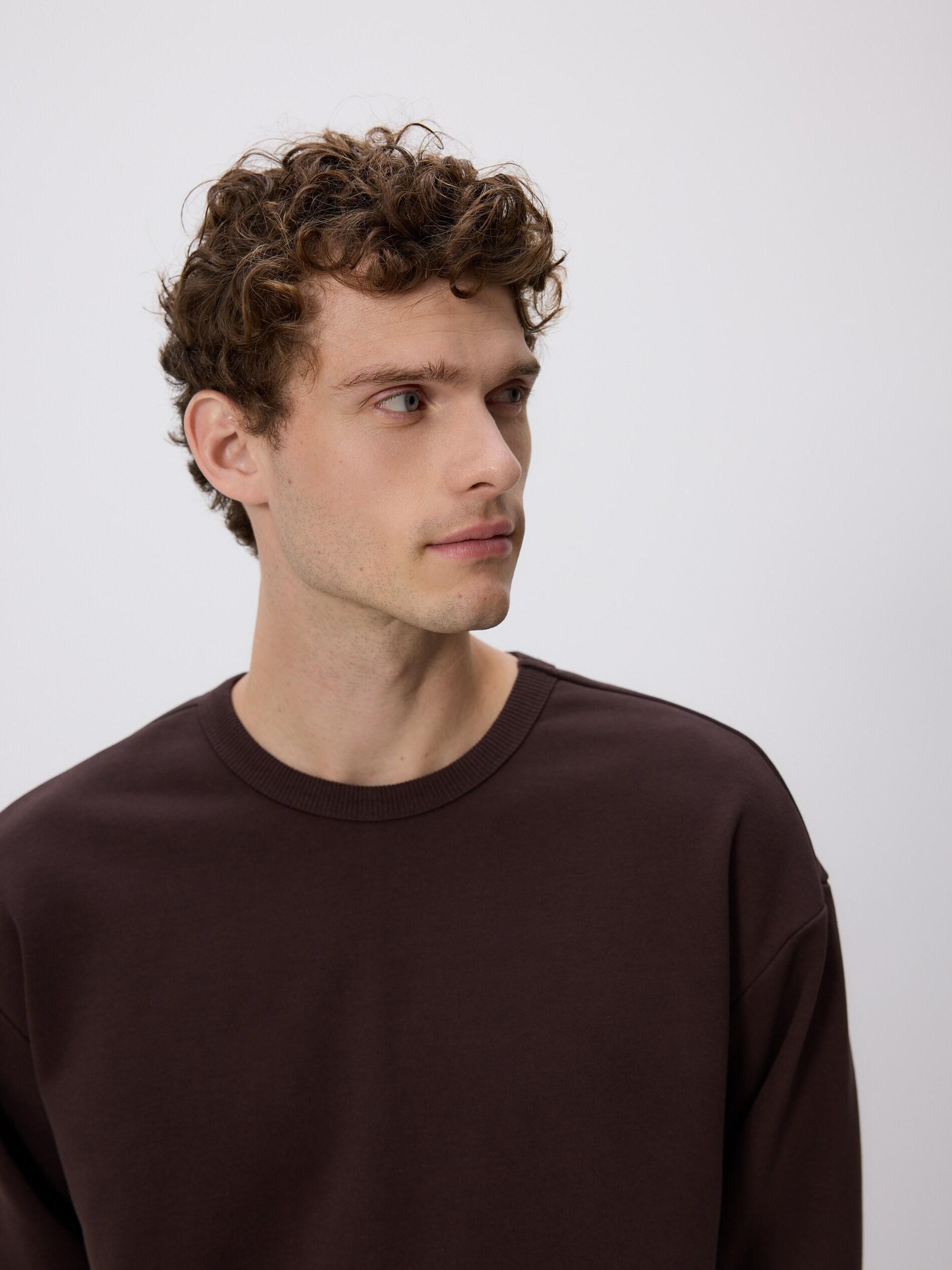Brown Plain Cotton Rich Sweatshirt, Brown, large image number 2