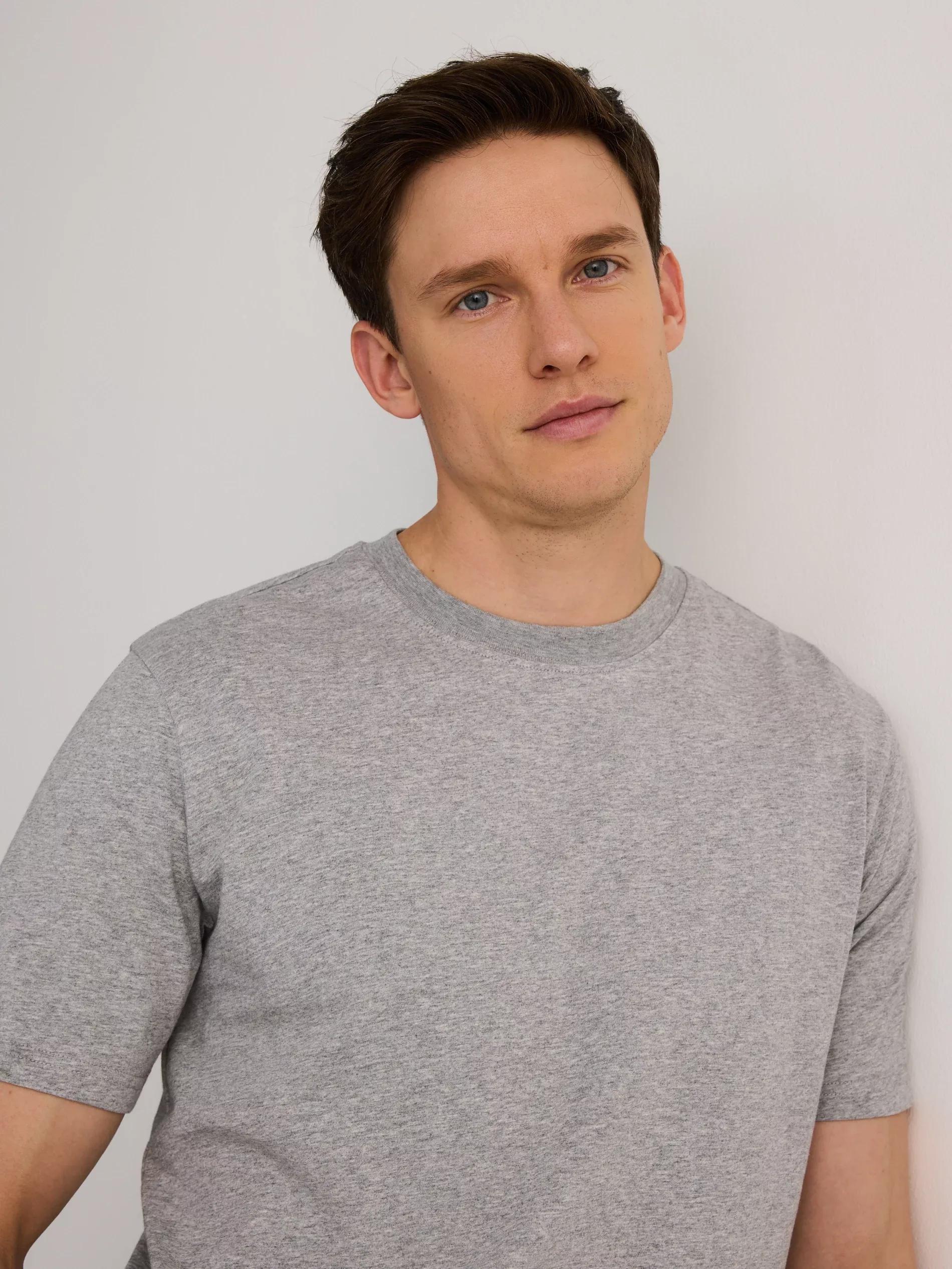 Grey Regular Fit Cotton T-Shirt, , large image number 3