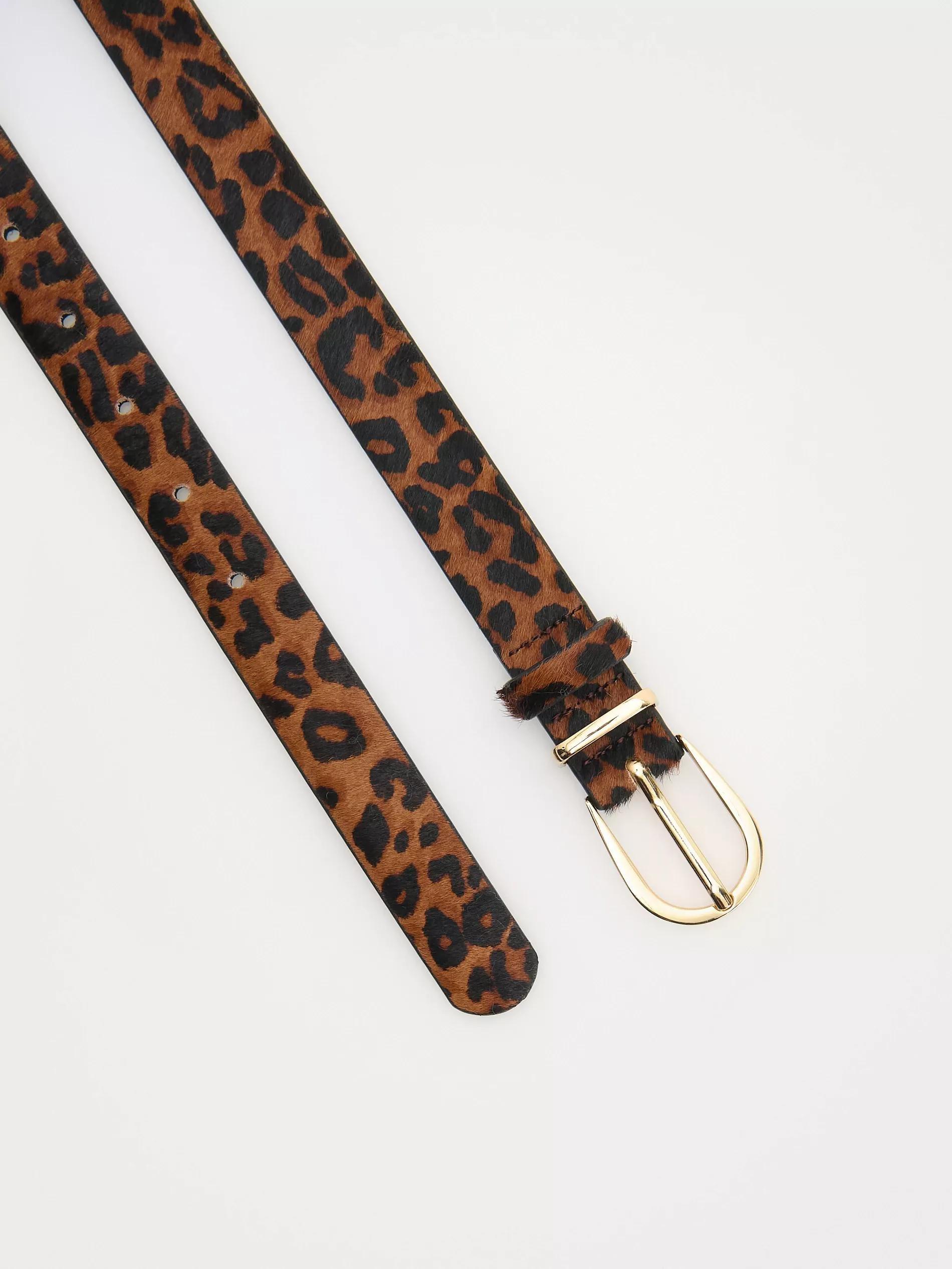 Multicolour Belt, , large image number 1