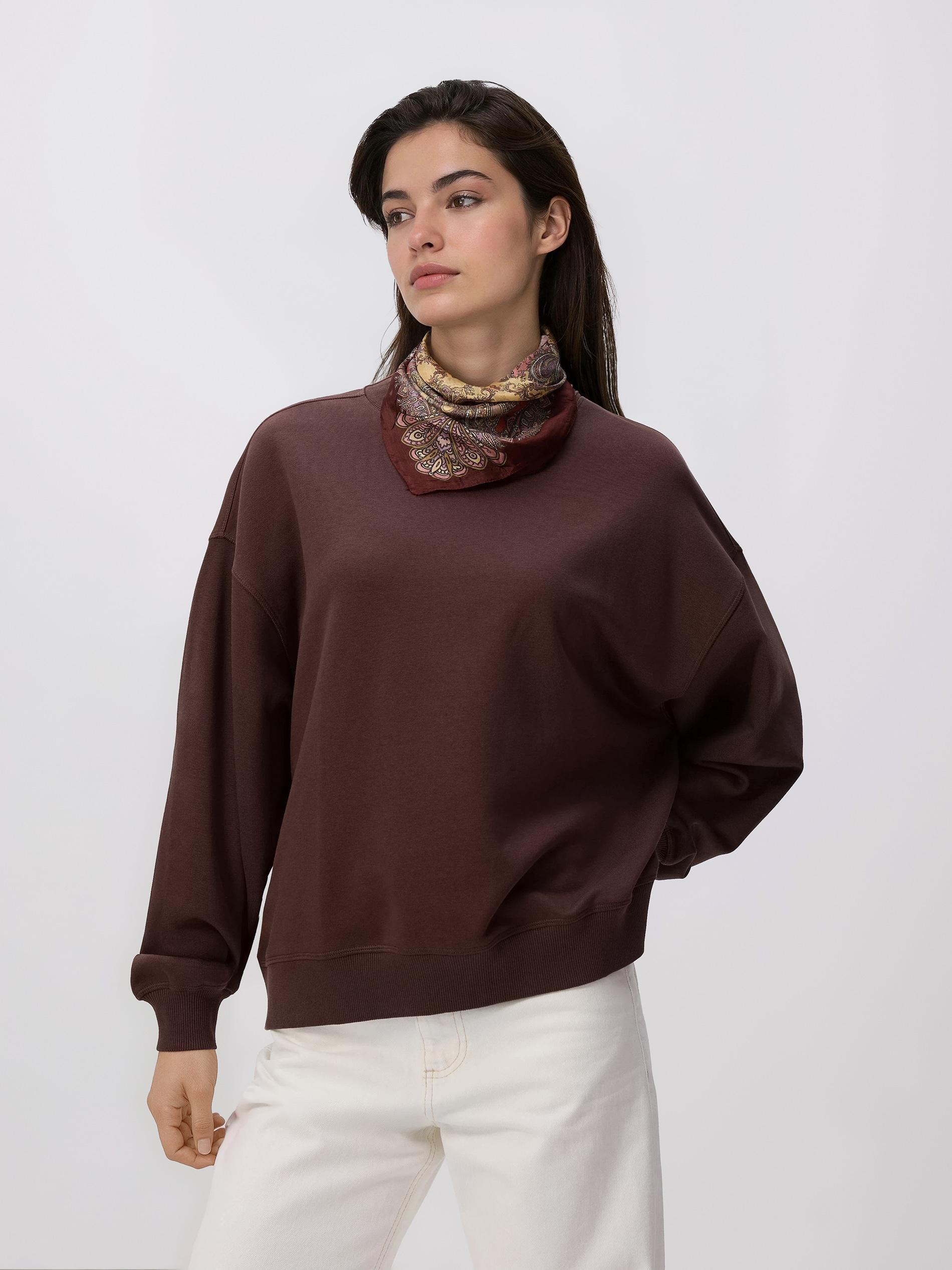 Brown Plain Cotton Rich Sweatshirt, Brown, medium