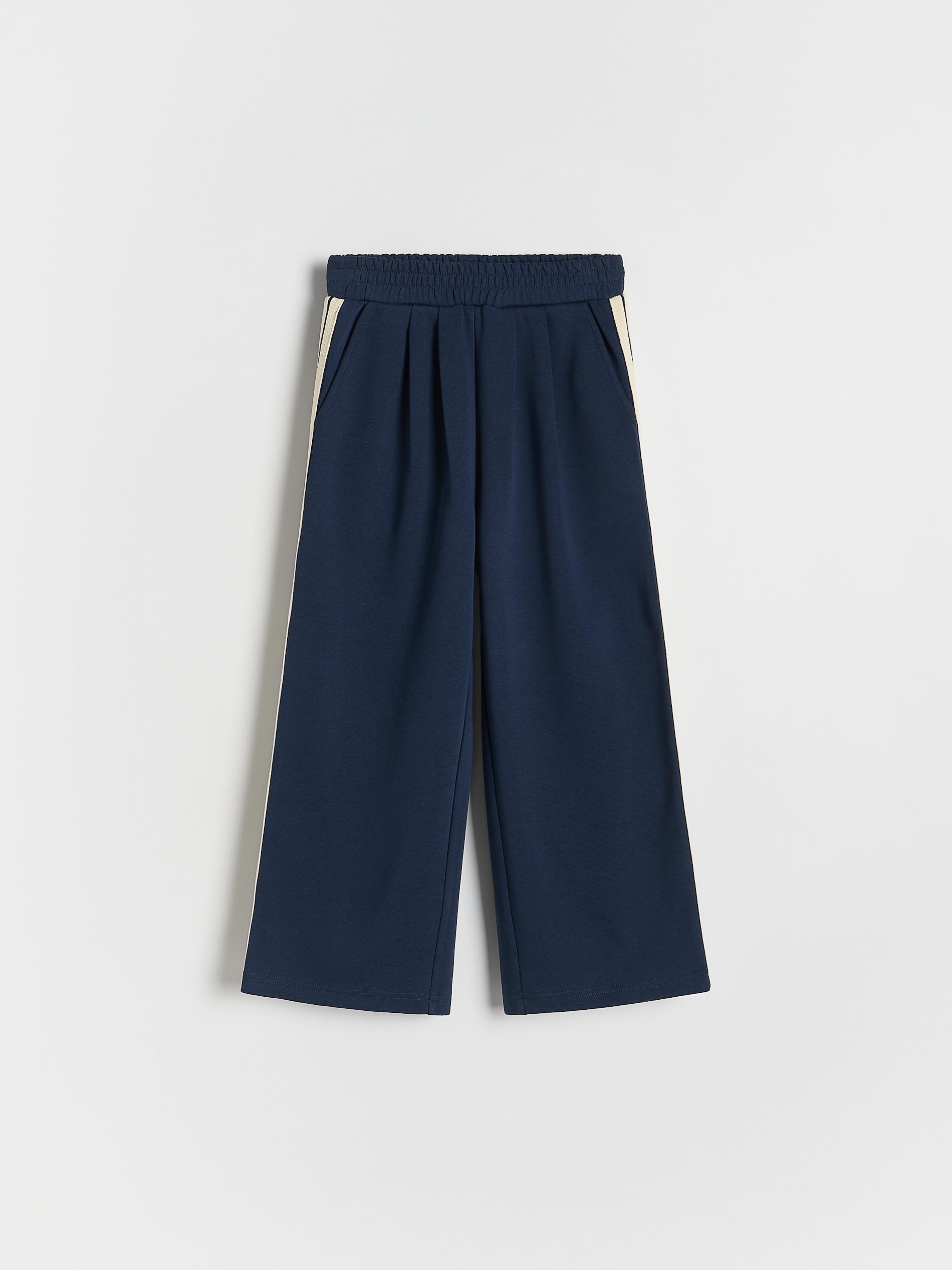 Navy Sweatpants With Side Stripes, , large image number 0