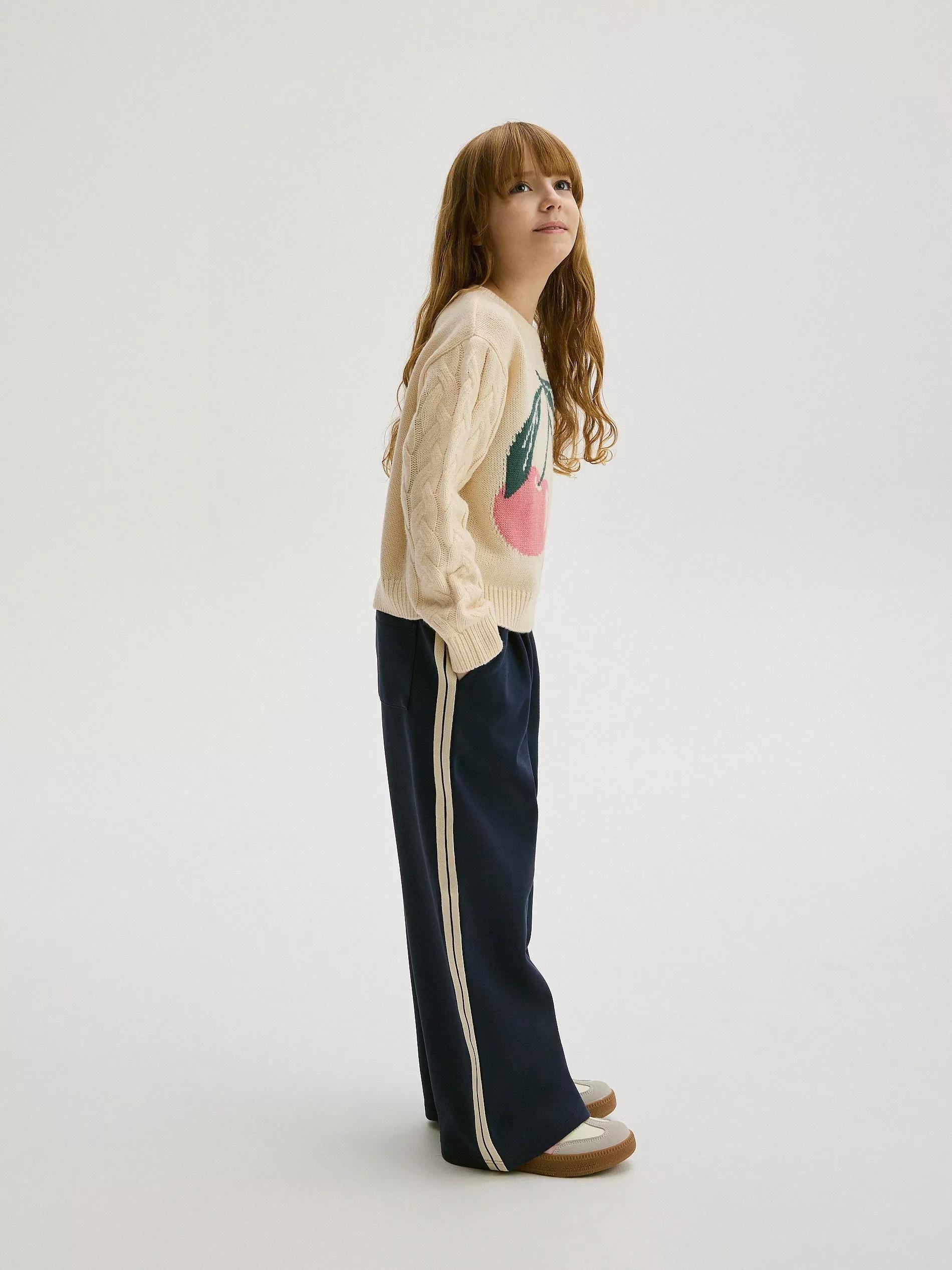 Navy Sweatpants With Side Stripes, , large image number 5