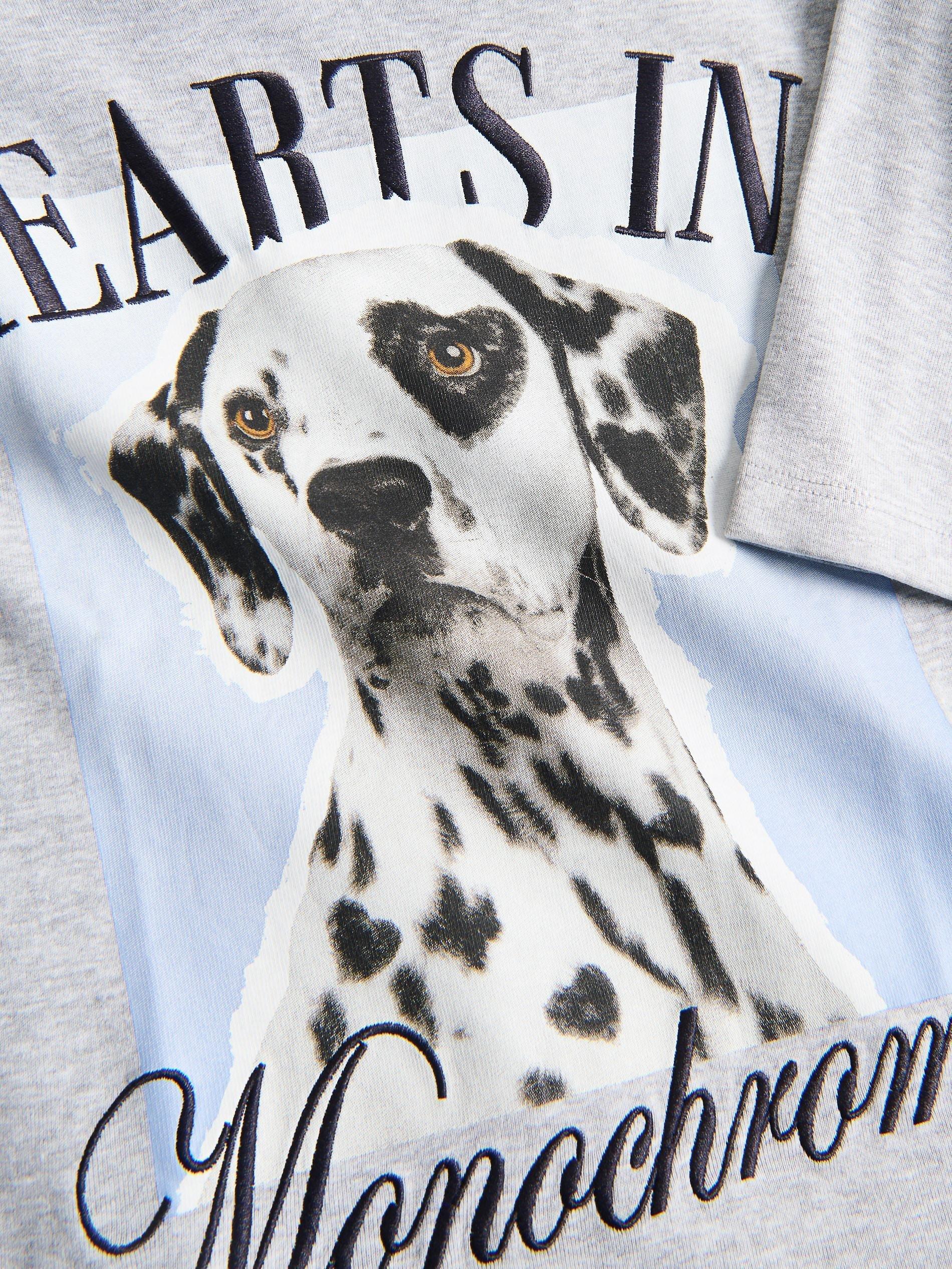 Grey T-Shirt With Print, Light grey, medium