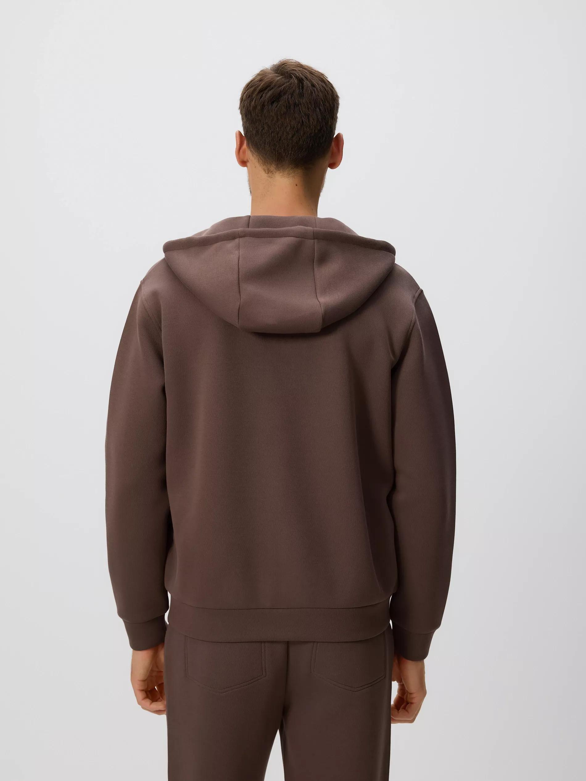 Beige Regular Fit Hoodie, , large image number 3