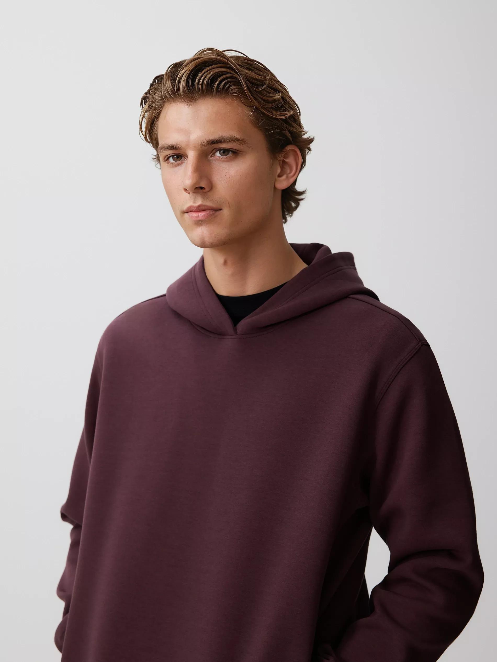Brown Regular Fit Hoodie, Burgundy, large image number 3