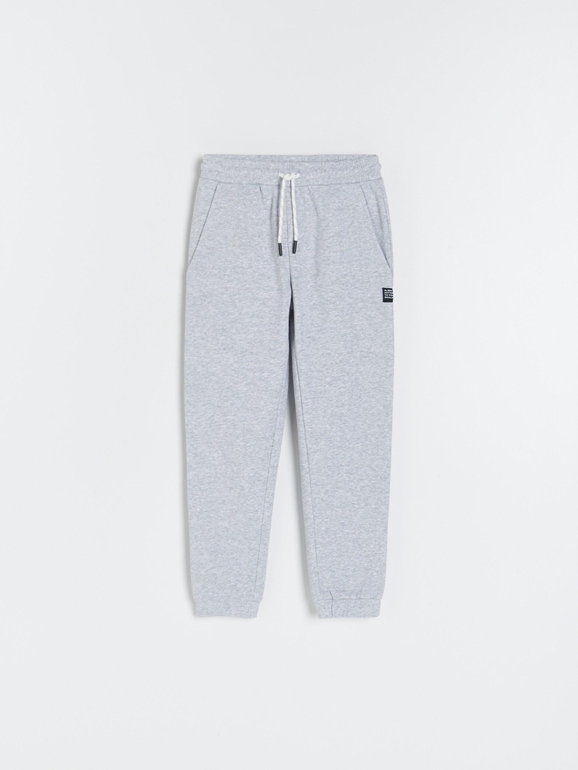 Grey Sweatpants With Patch, Kids Boys, , large image number 2