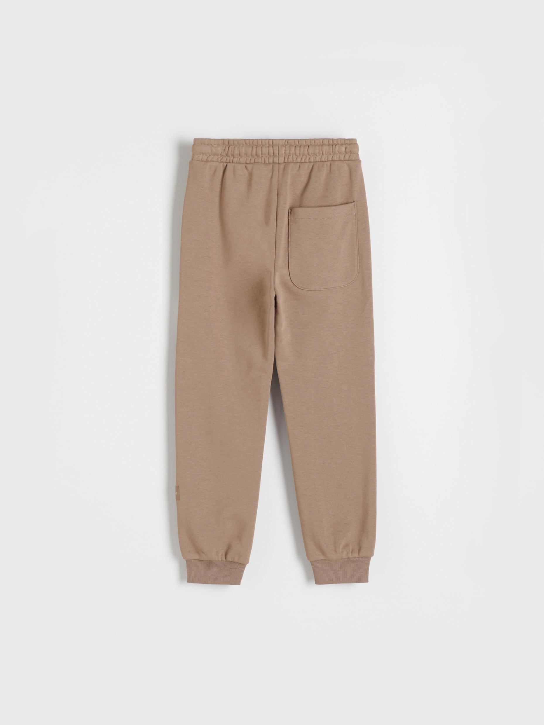 Brown Cotton Joggers, Kids Boys, , large image number 4