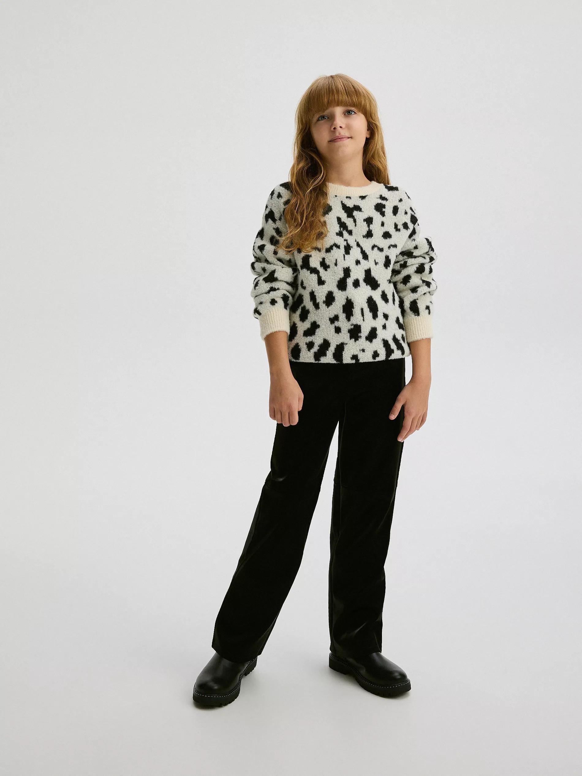 Multicolour Animal Print Sweater, , large image number 2