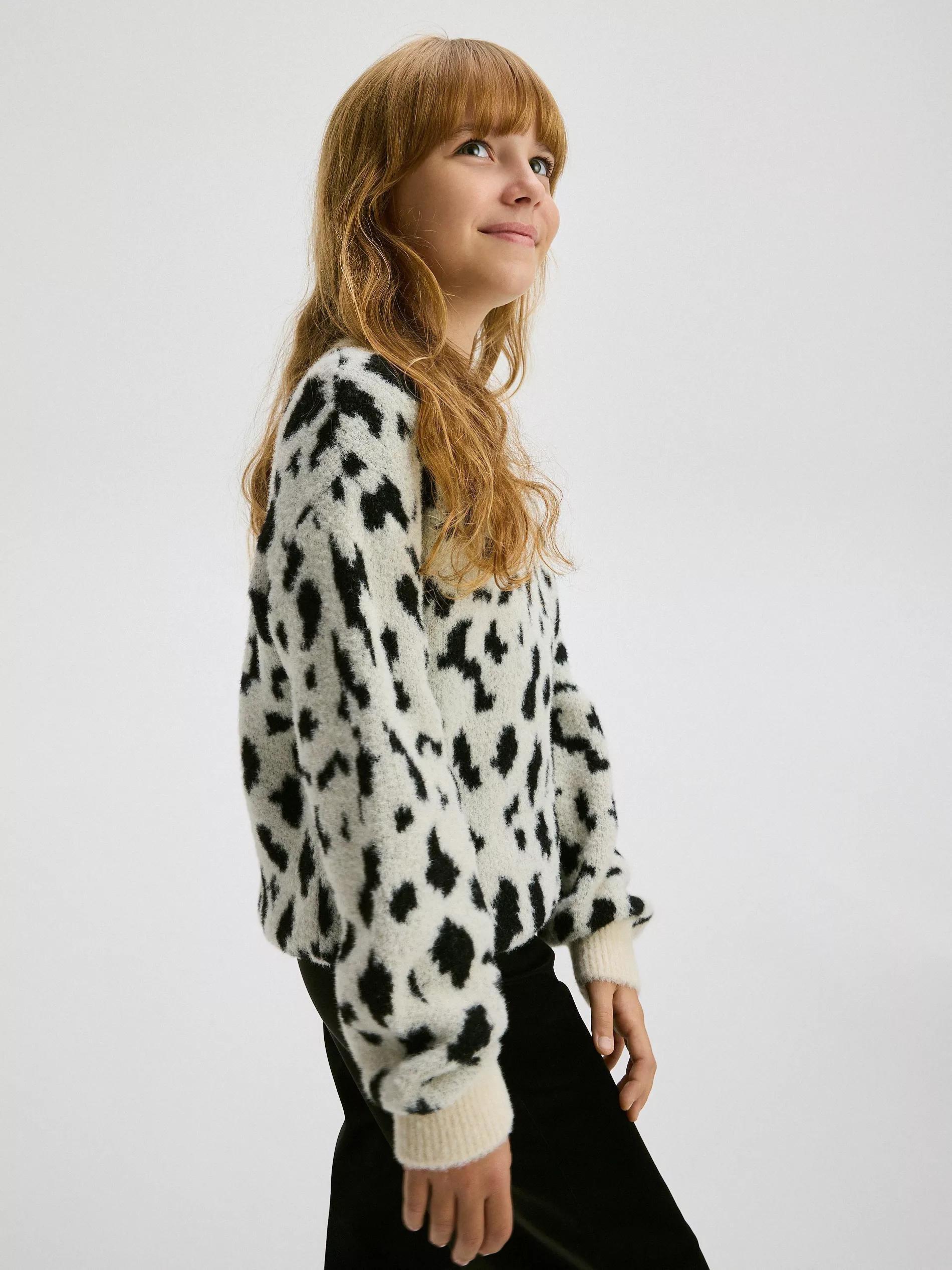 Multicolour Animal Print Sweater, , large image number 6