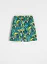 Reserved - Fresh Green Chameleon Pattern Swim Shorts