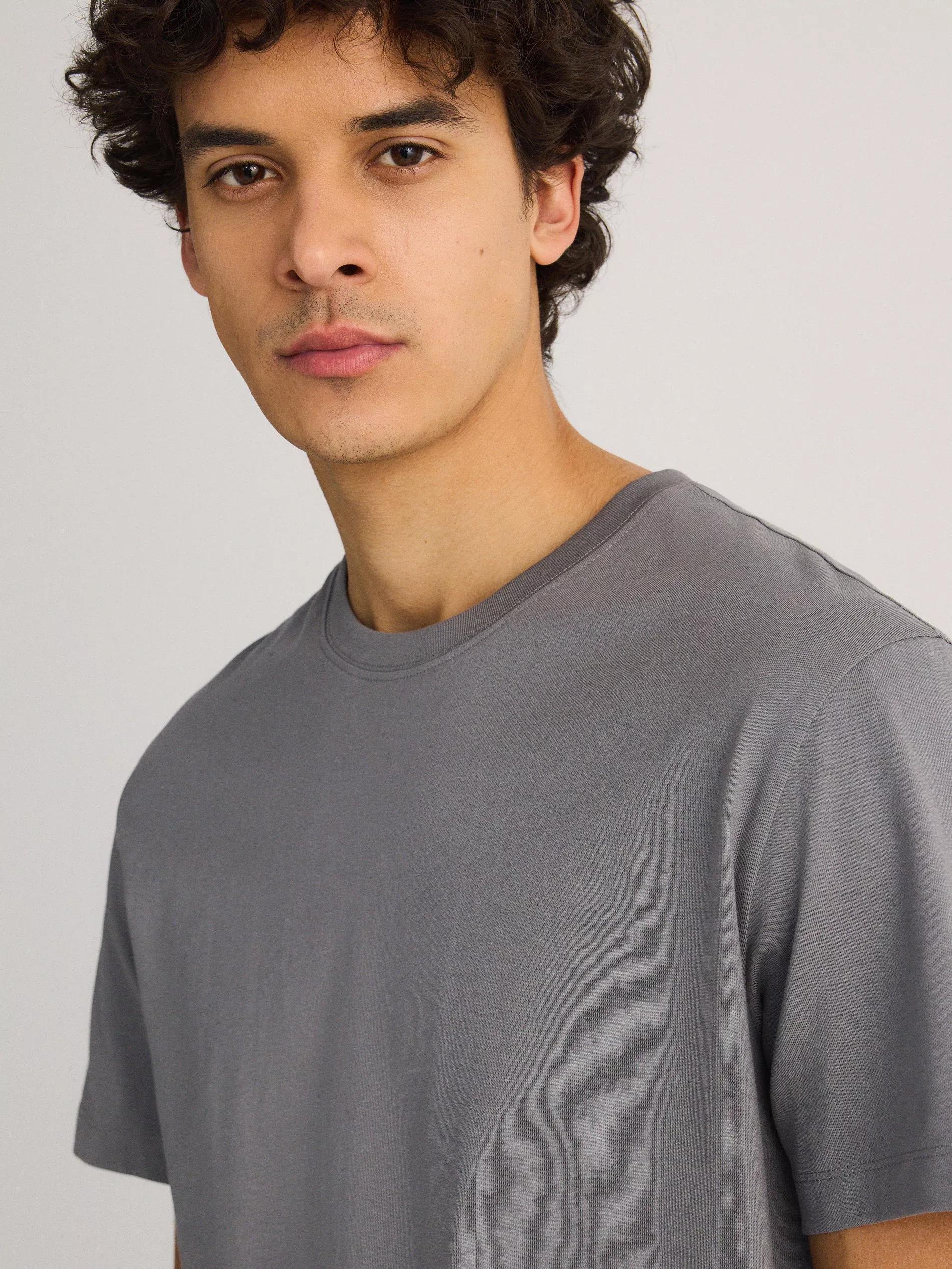 Grey T-Shirt, , large image number 4