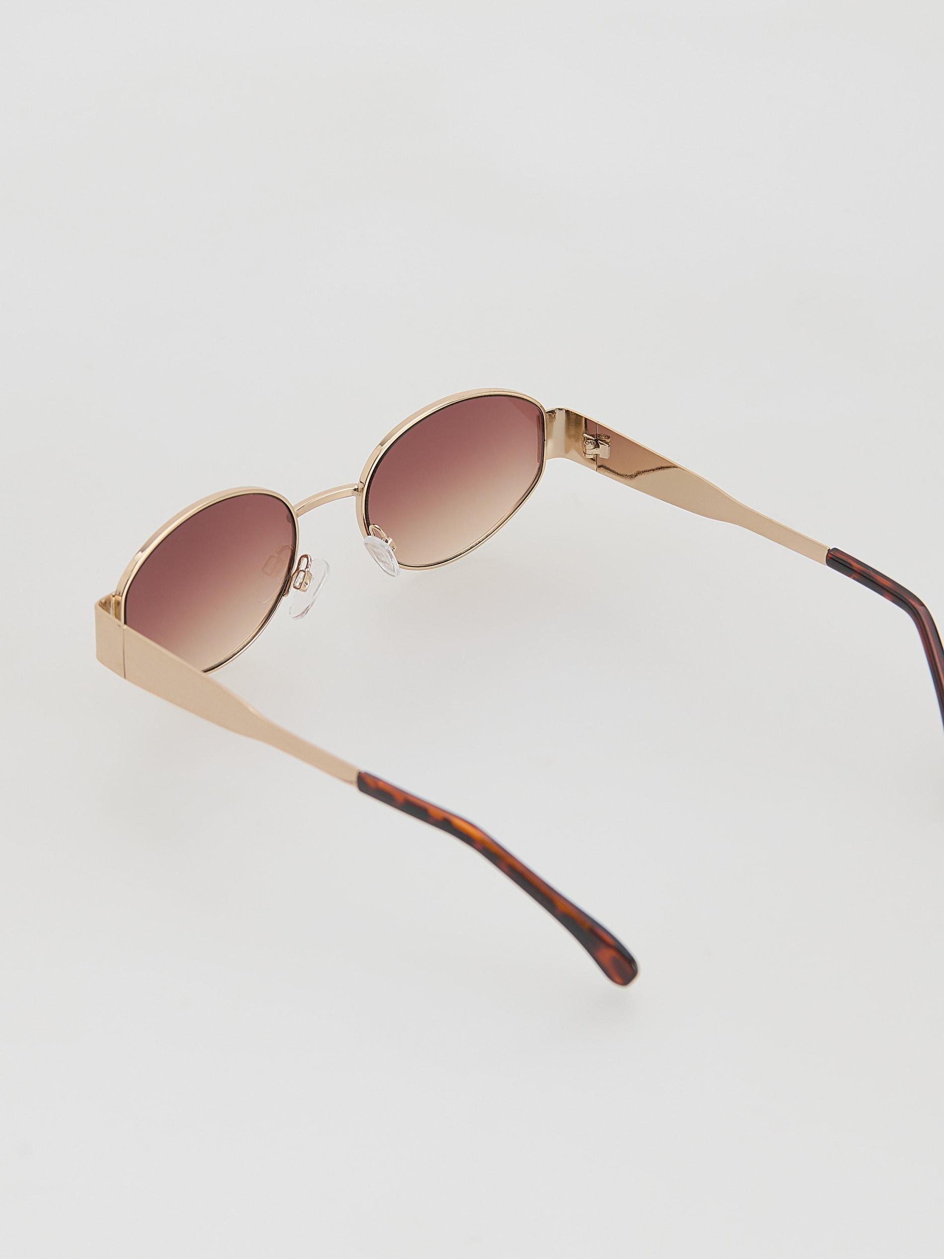 Brown Sunglasses With Case, Brown, medium