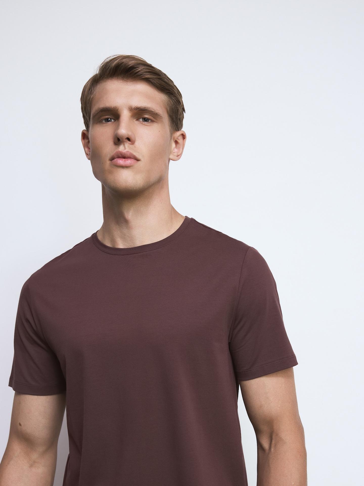 Red Regular Fit Modal Blend T-Shirt, Burgundy, medium