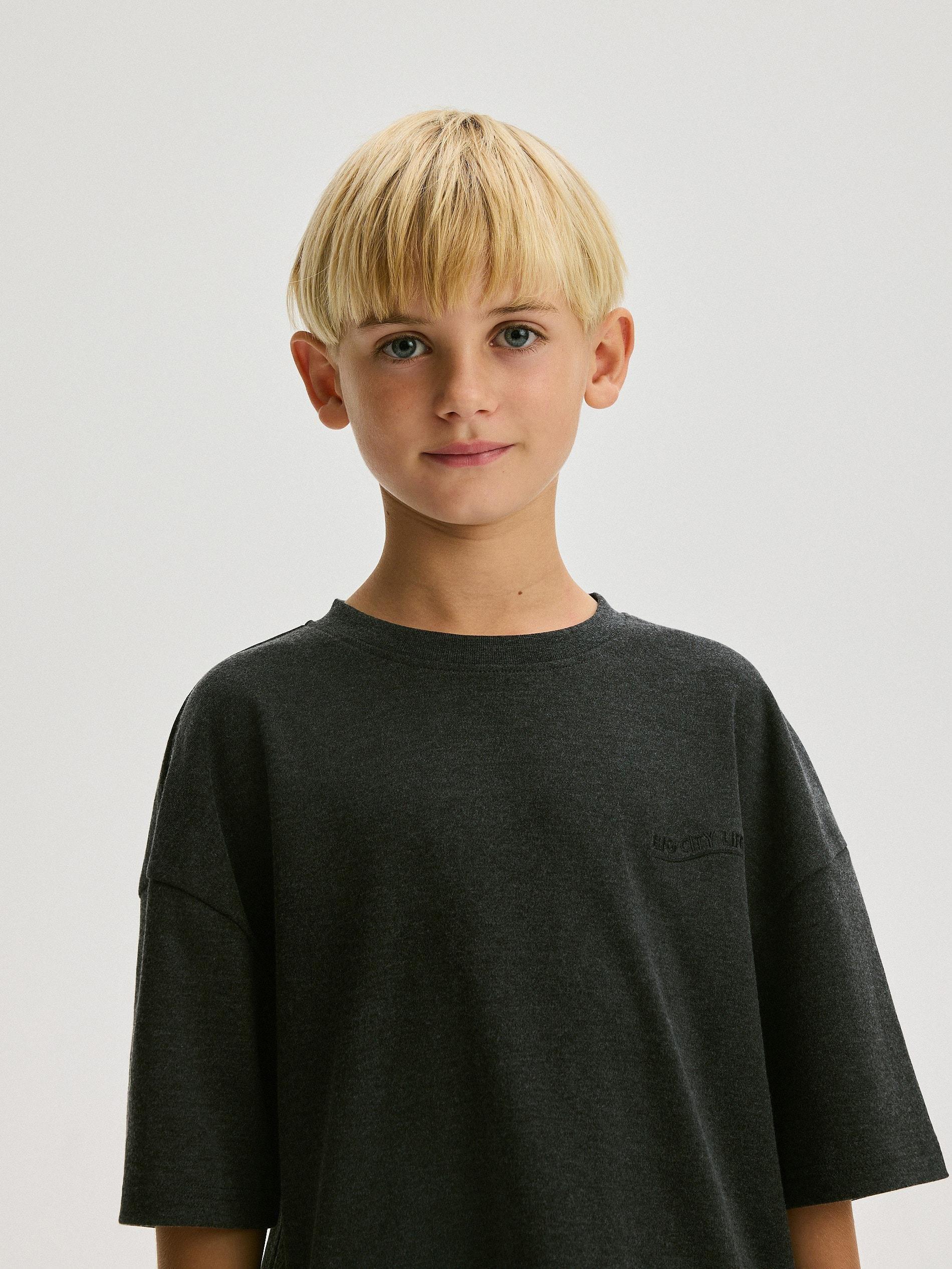 Grey T-Shirt,Kids Boy, , large image number 5