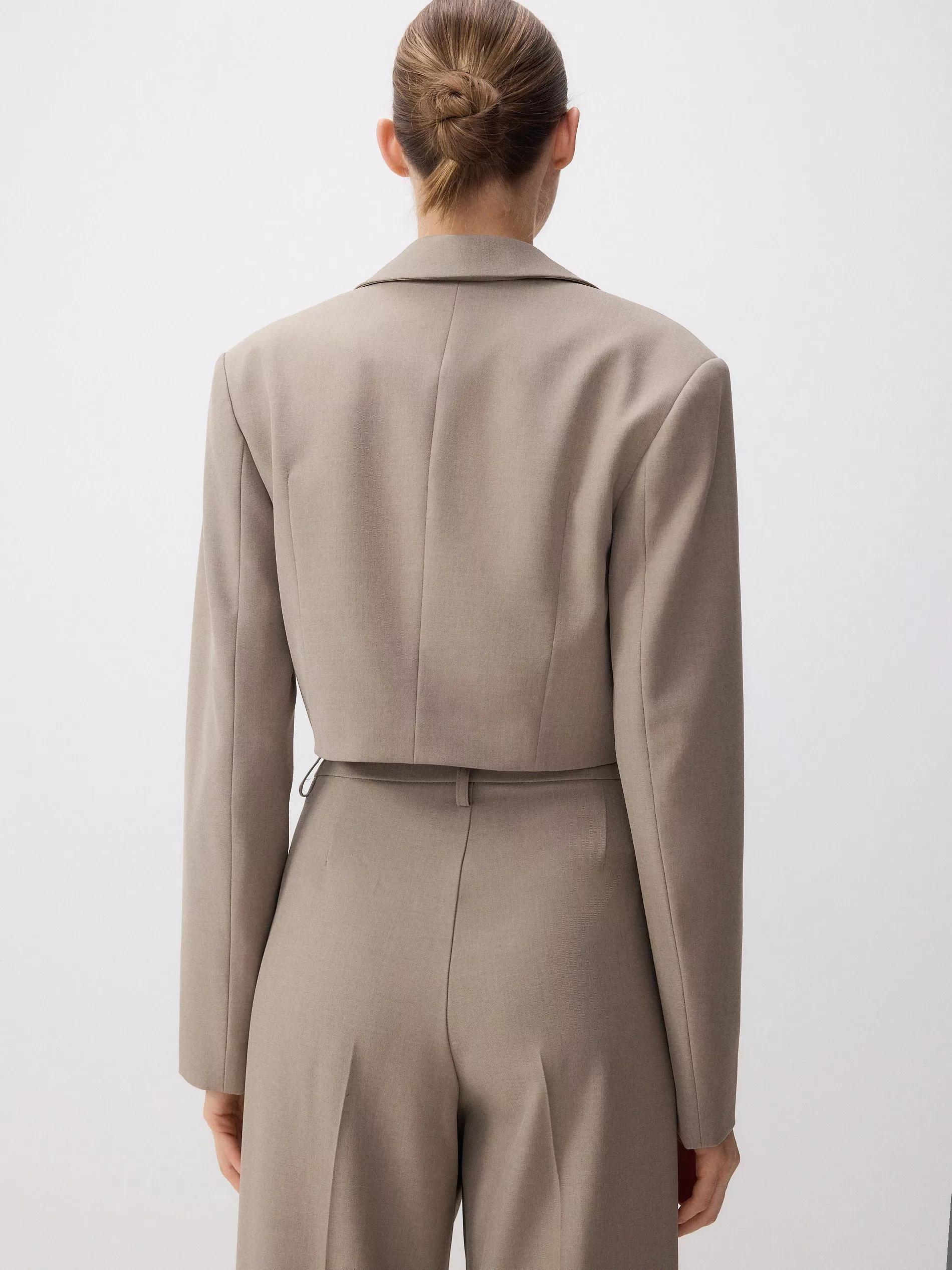 Beige Plain Suit Jacket, , large image number 3