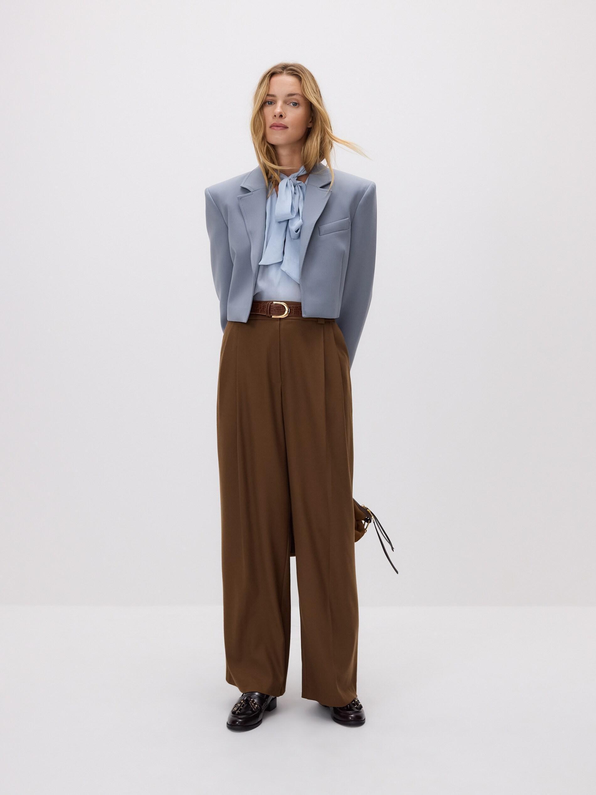 Golden Brown Trousers With Pleats, Brown, large image number 0