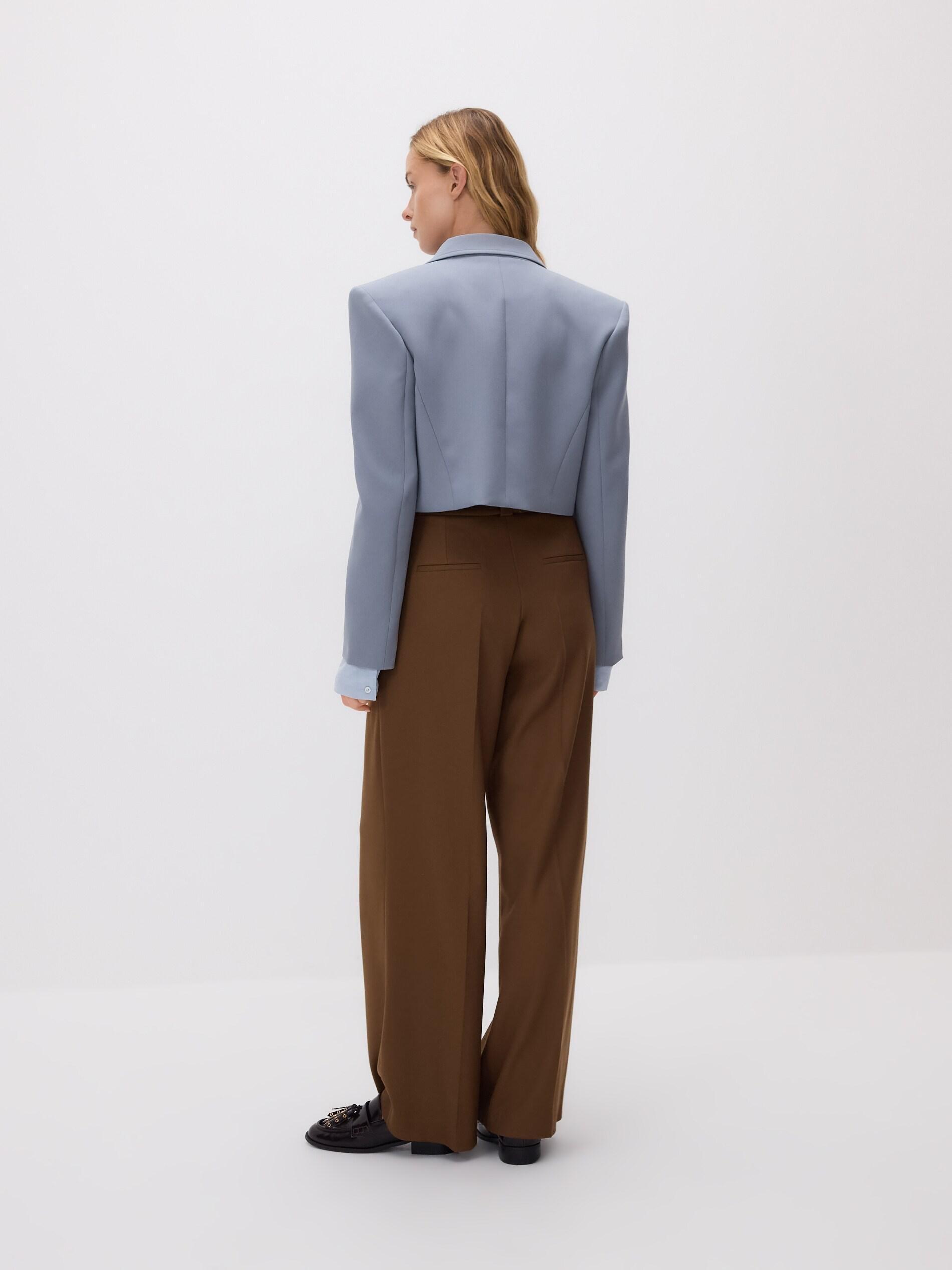 Golden Brown Trousers With Pleats, Brown, large image number 2