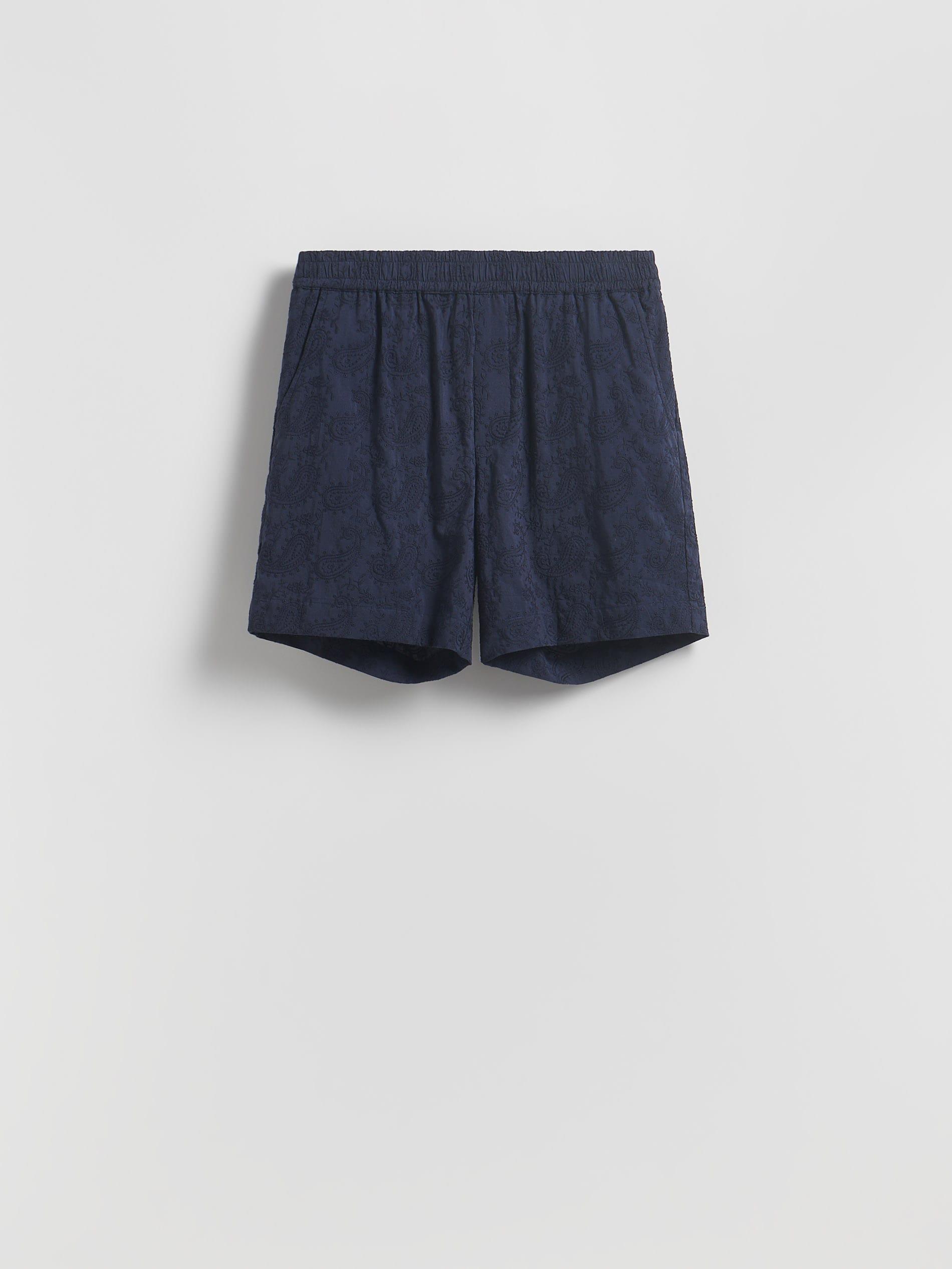 Navy Regular Shorts, , medium