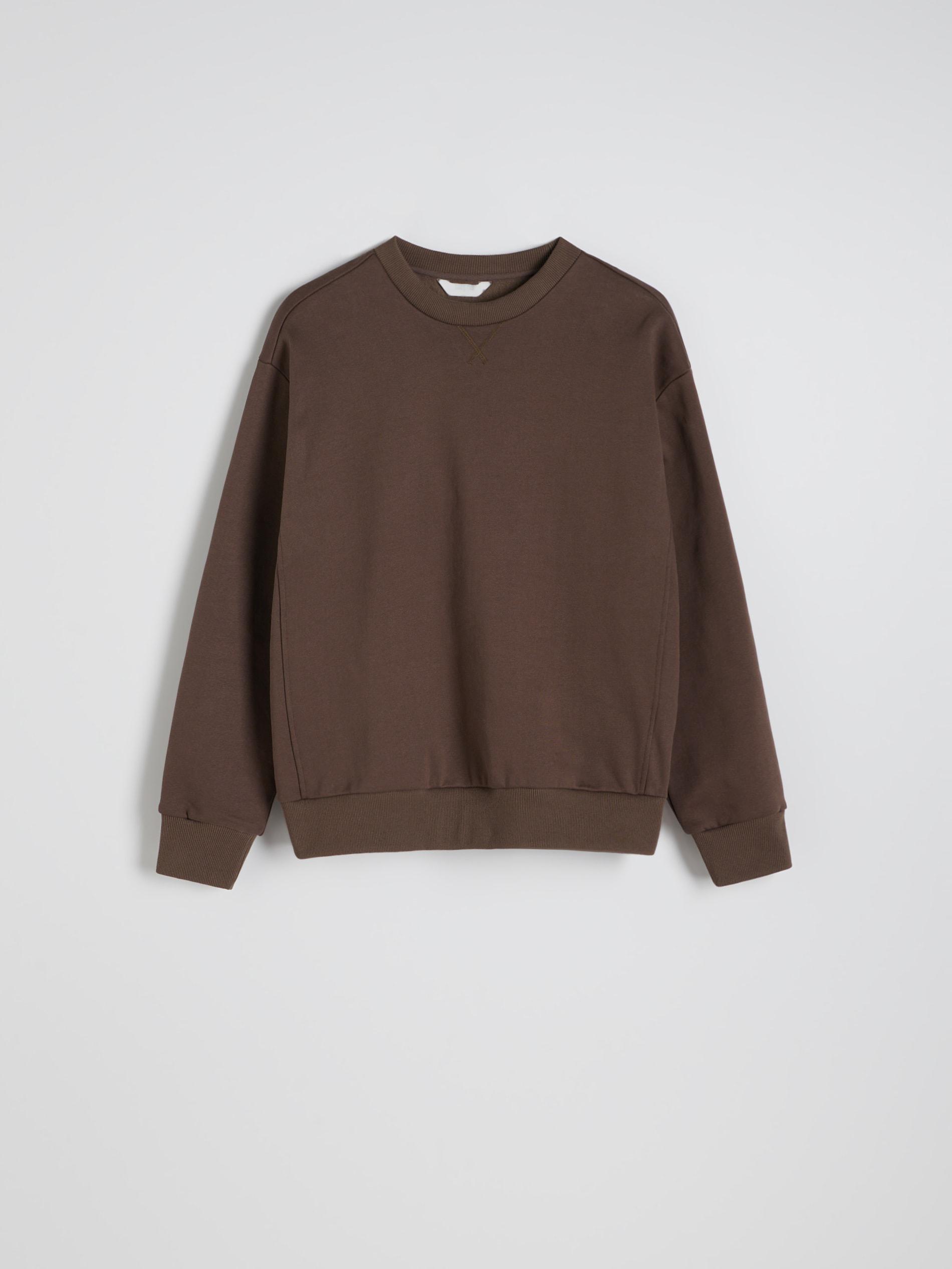 Brown Cotton Sweatshirt, , large image number 4
