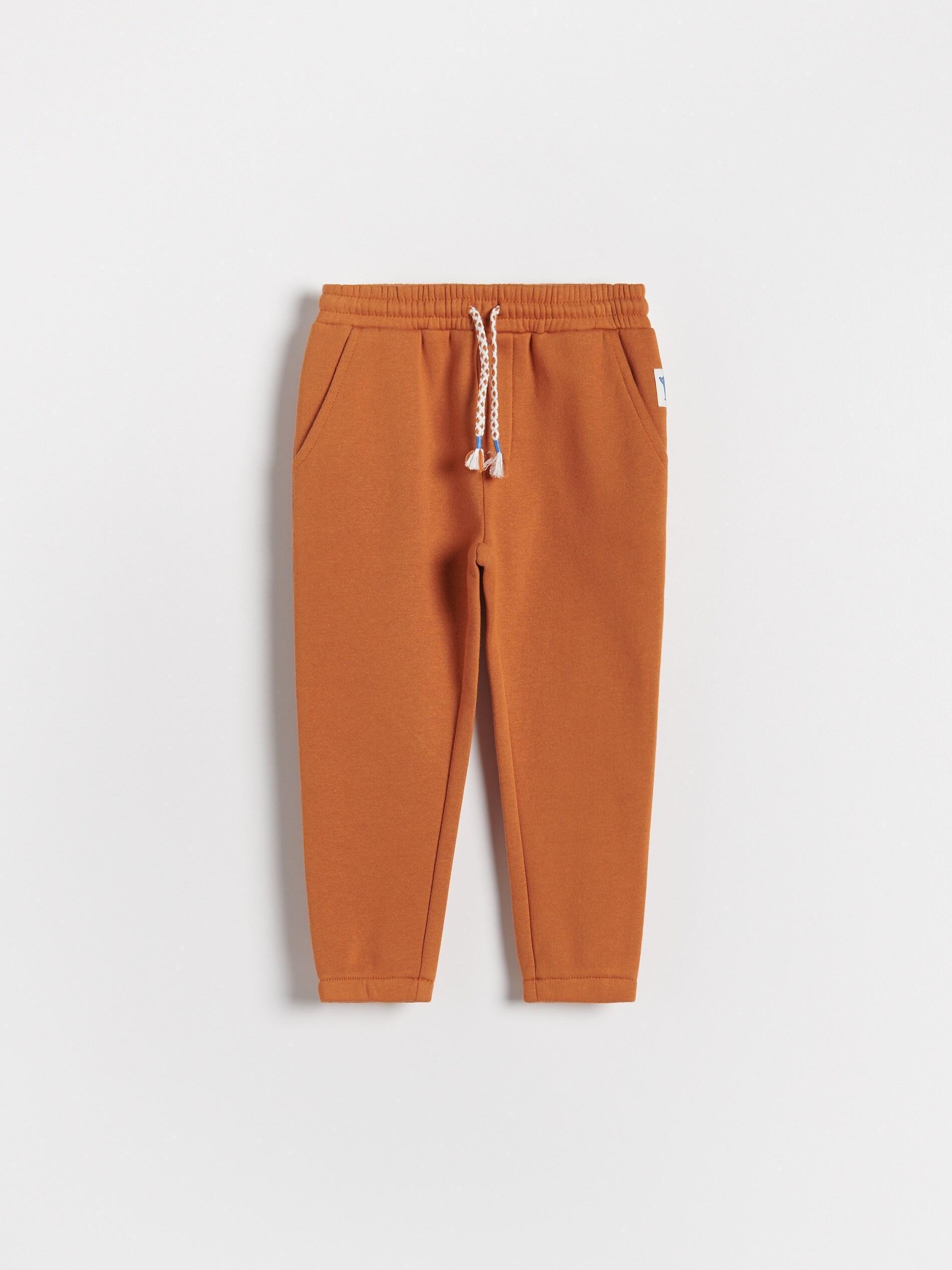 Brown Sweatpants With Pockets, Kids Boy, , large image number 0